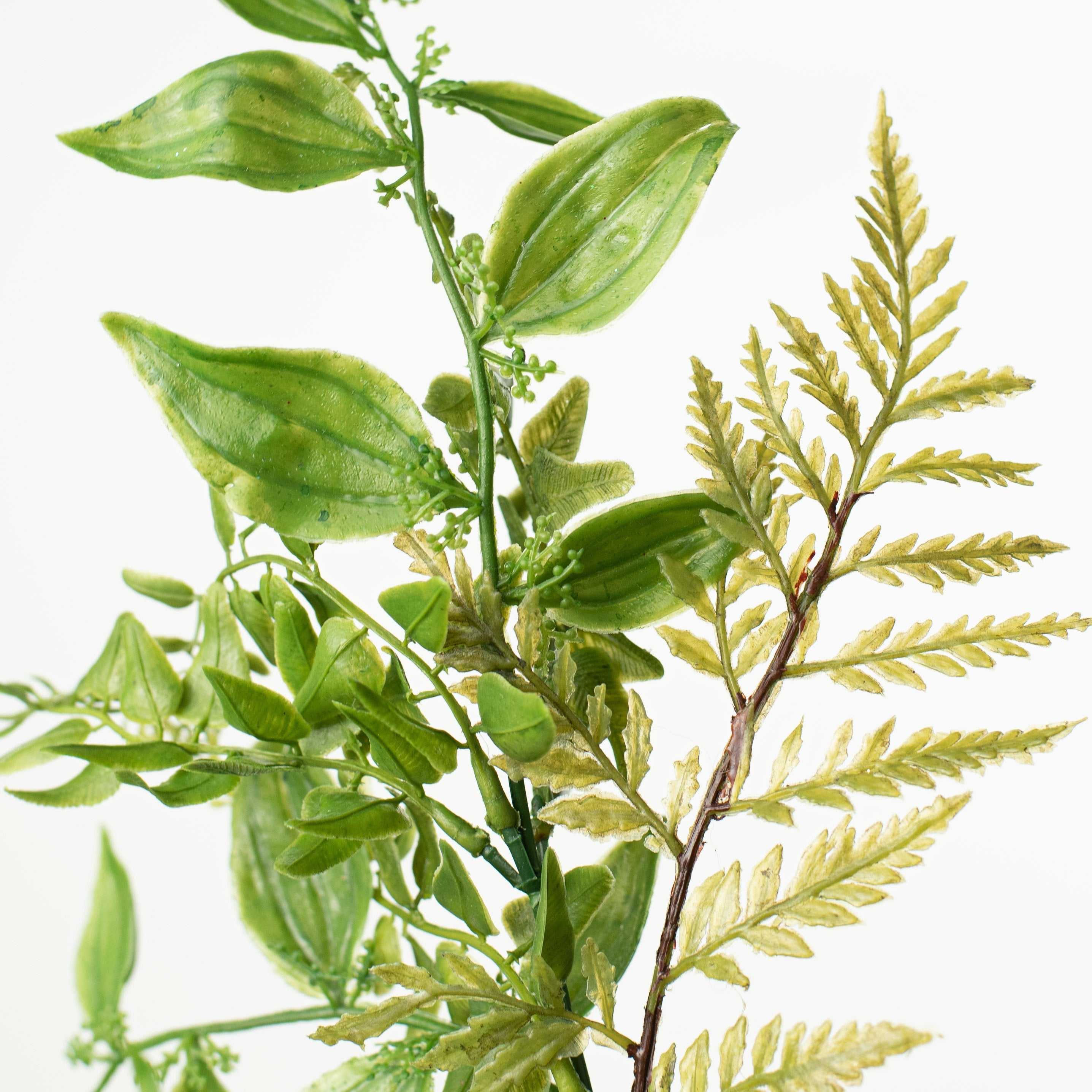 15" Grass, Fern, Leaf Bush Lifestyle Photo