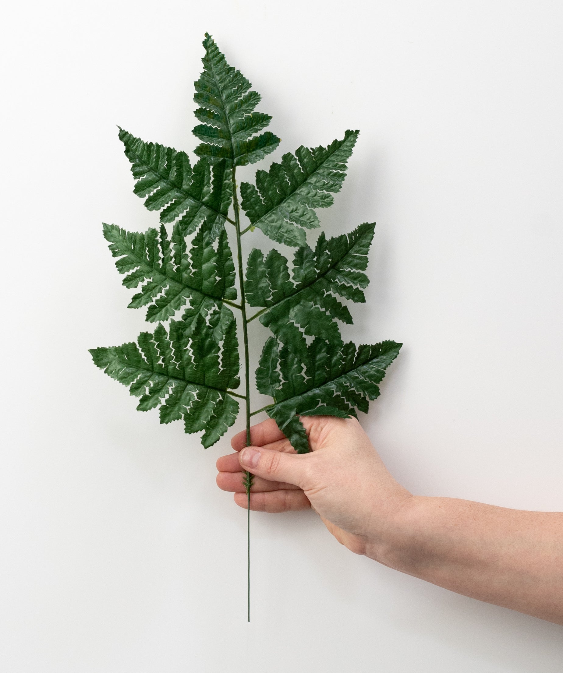 16" Green Leather Leaf Fern Picks (12) detail photo 6