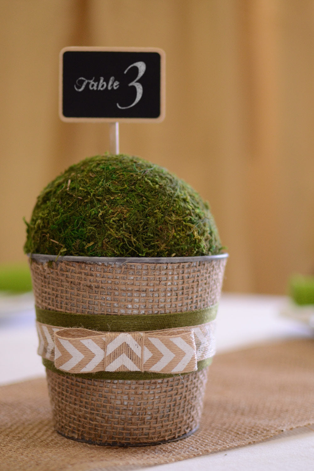 5" Green Moss Ball detail photo 5