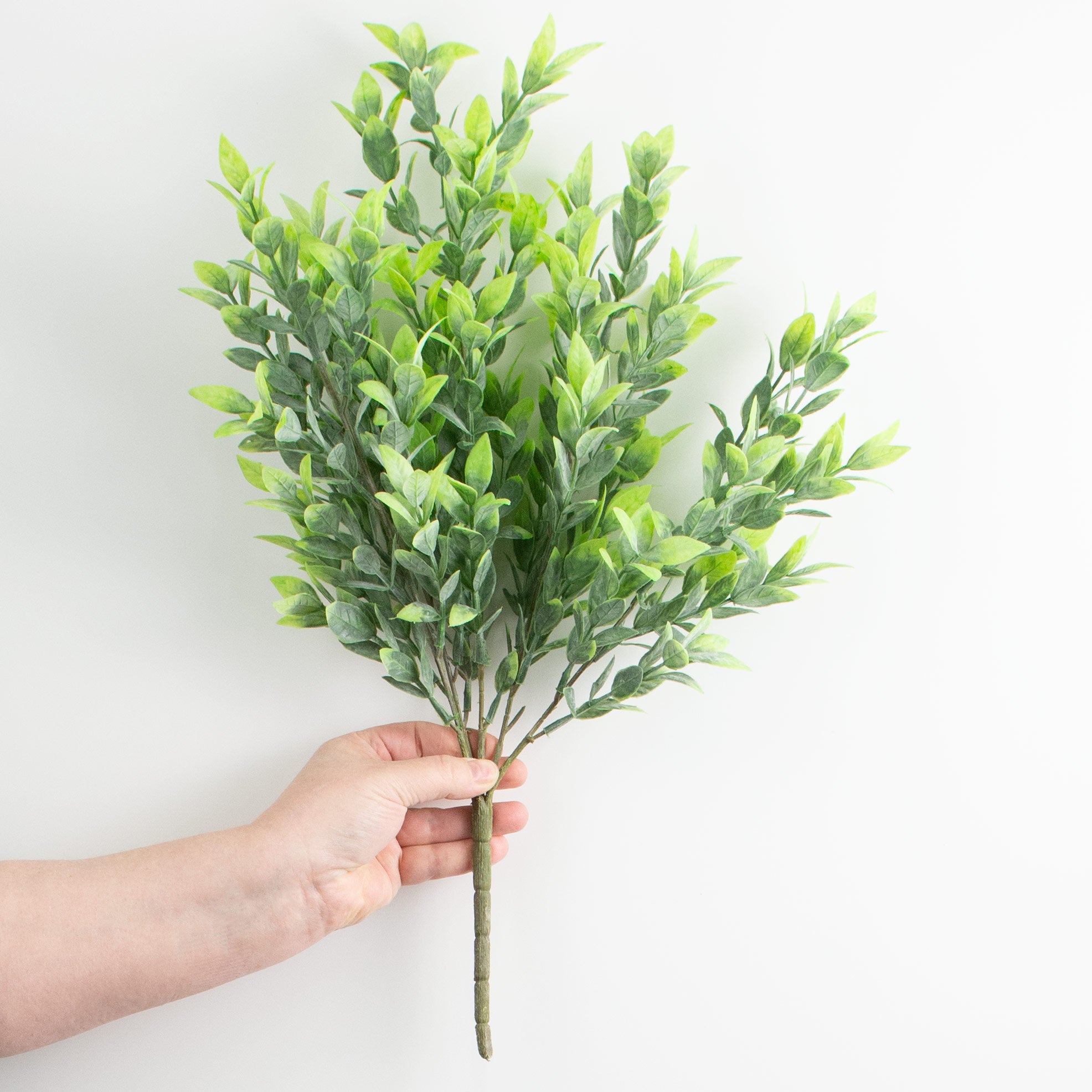 21" Green Ruscus Bush detail photo 3