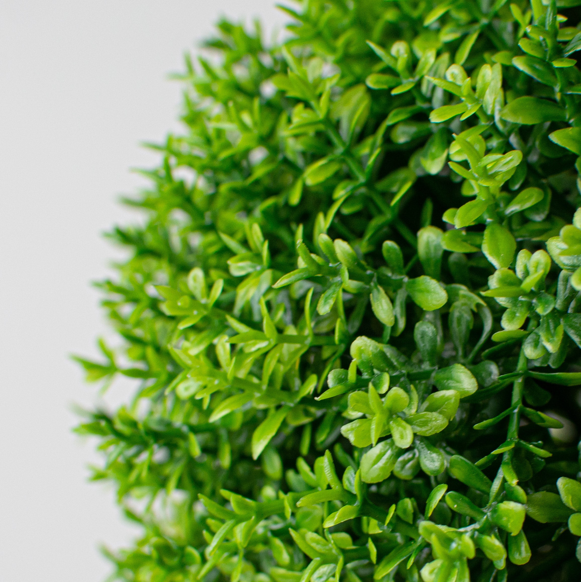 7" Green Thyme Ball detail photo 3