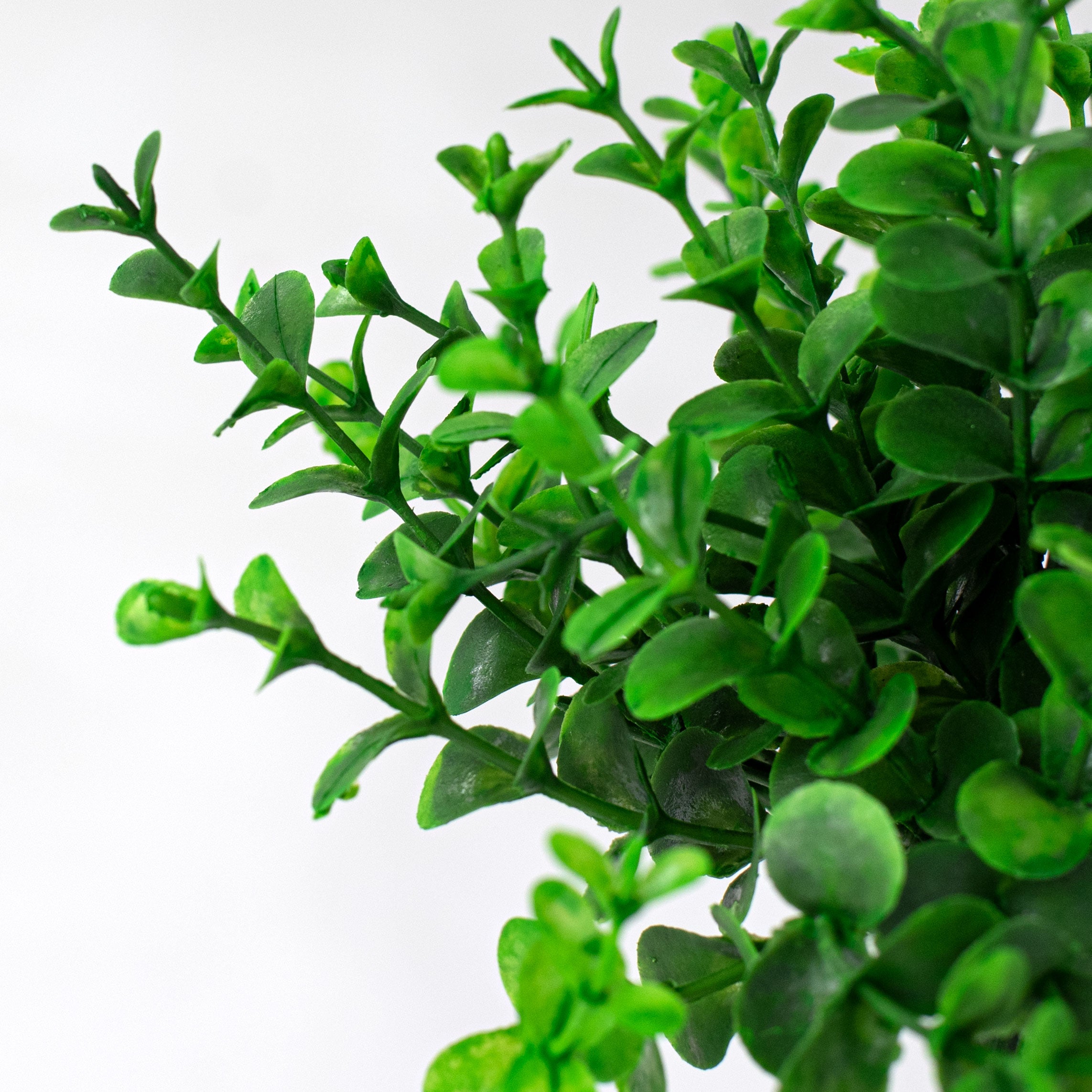 9" Greenery Eucalyptus Bush detail photo 4