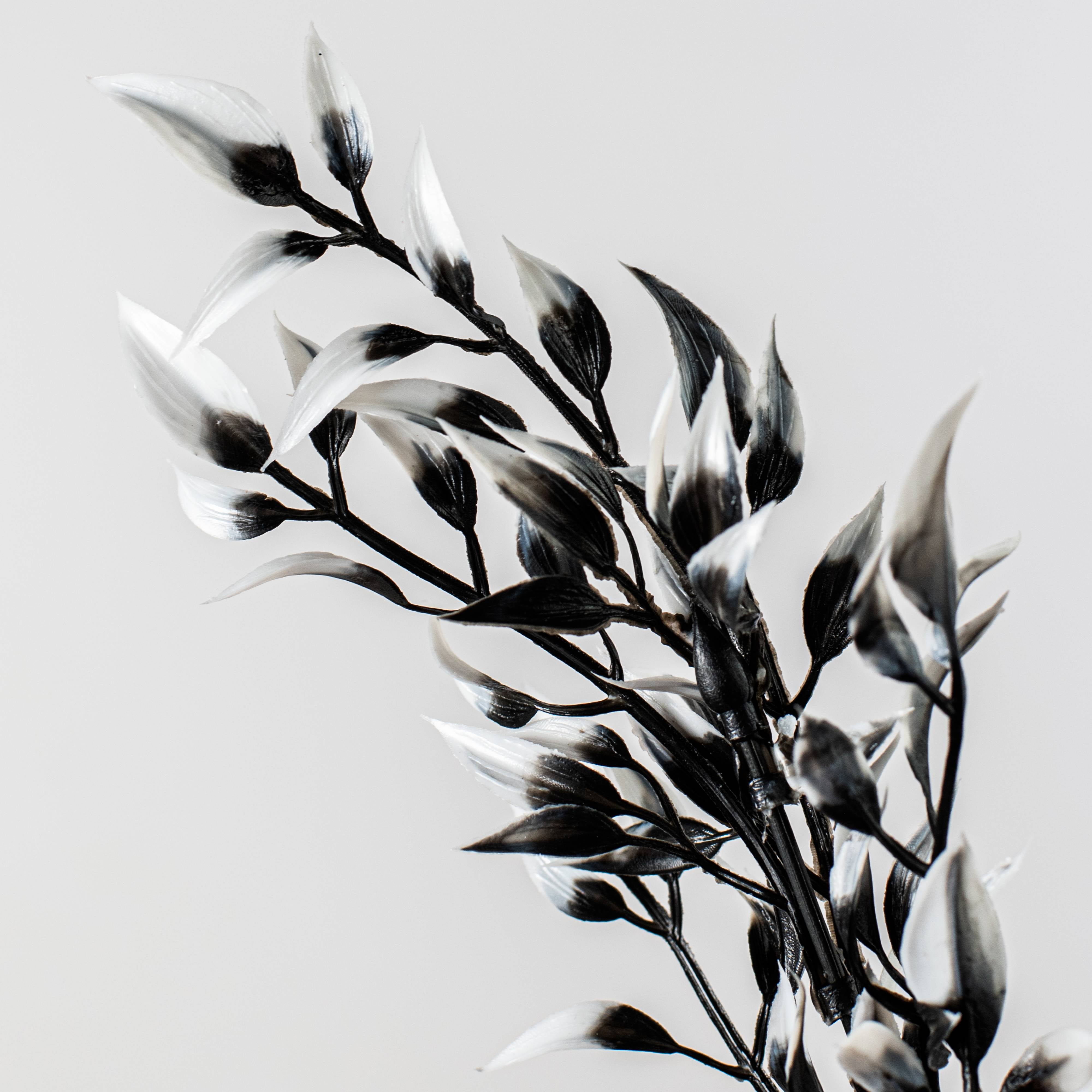 17" Halloween Leaf Bush: Black & White Lifestyle Photo