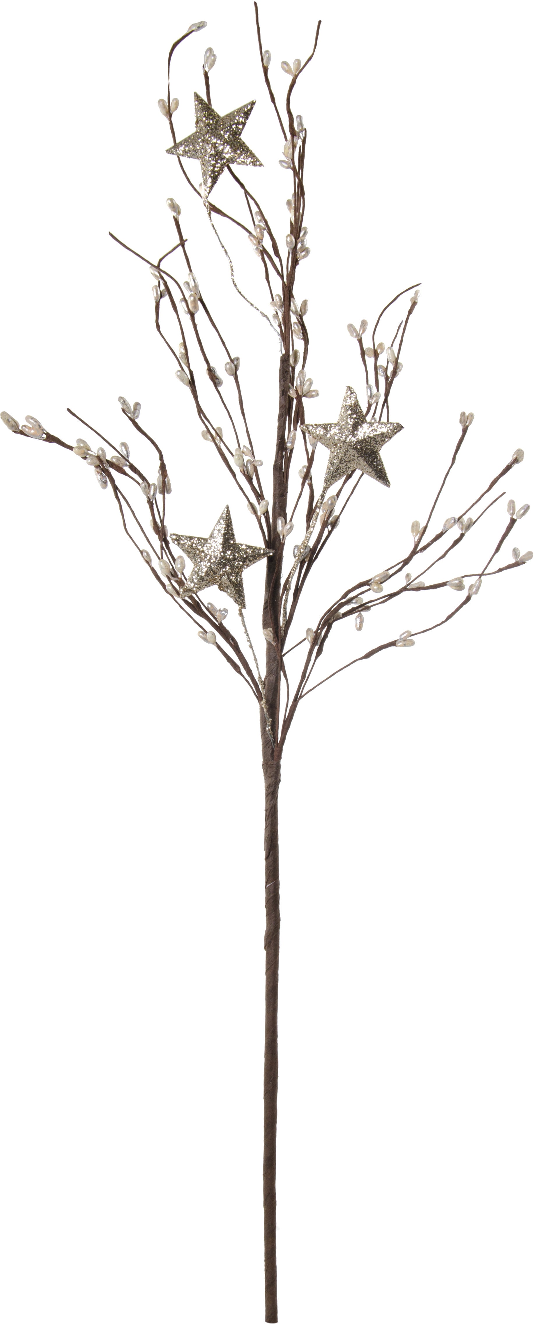 26" Holiday Silver Pip & Stars Spray Item Number: ISB58645