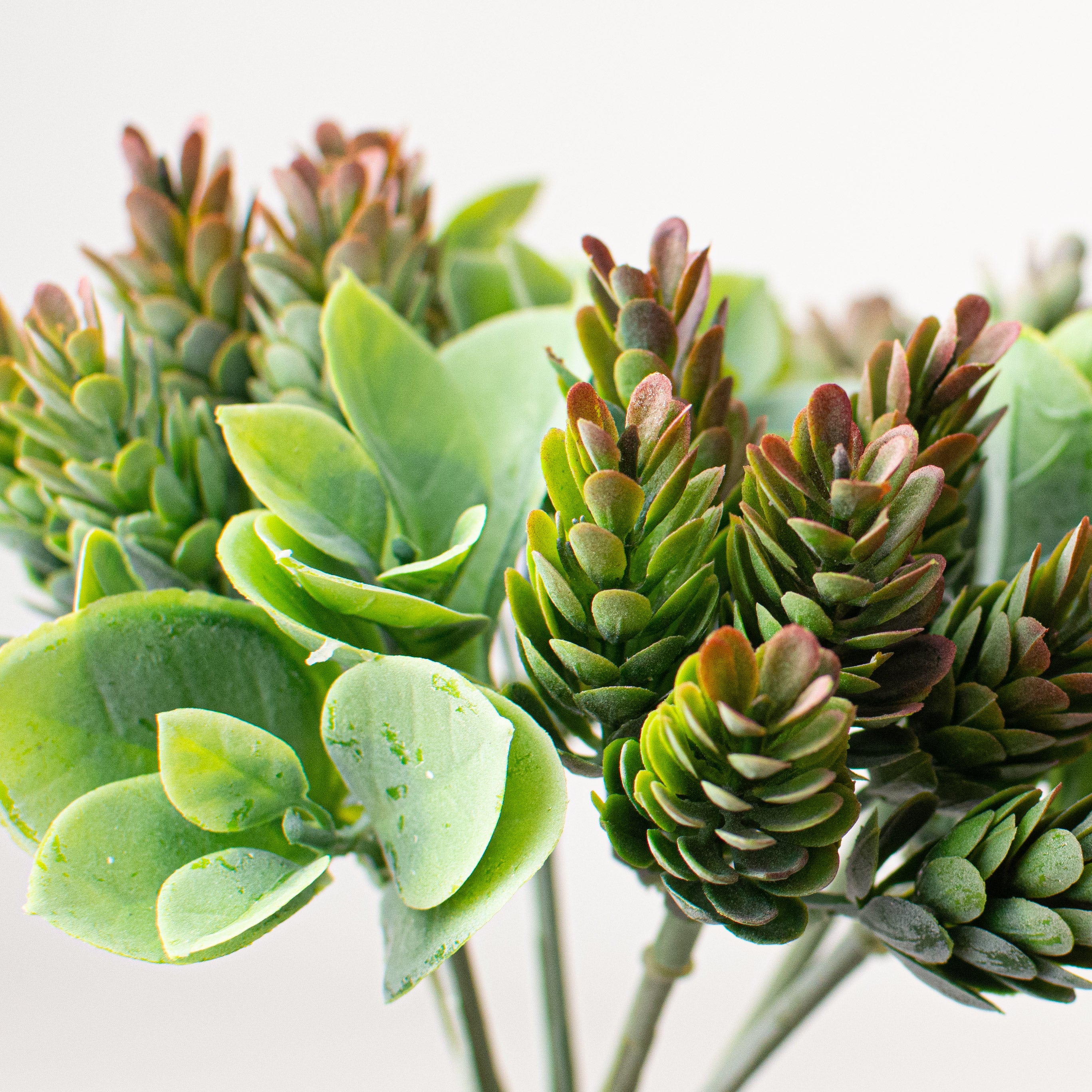11" Hops With Eucalyptus Leaves Bundle: Burgundy Lifestyle Photo