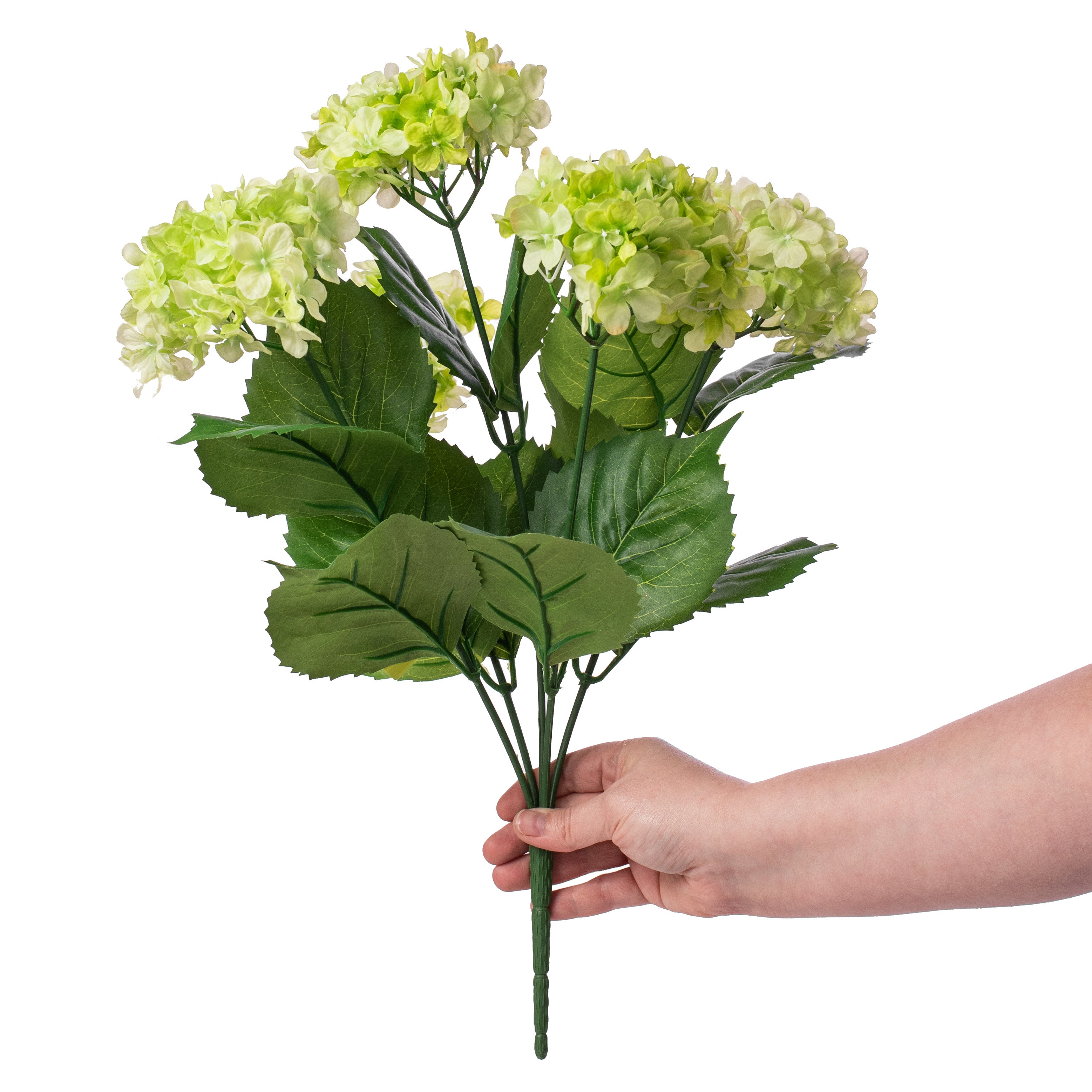 19" Hydrangea Bush: Green (5) Lifestyle Photo