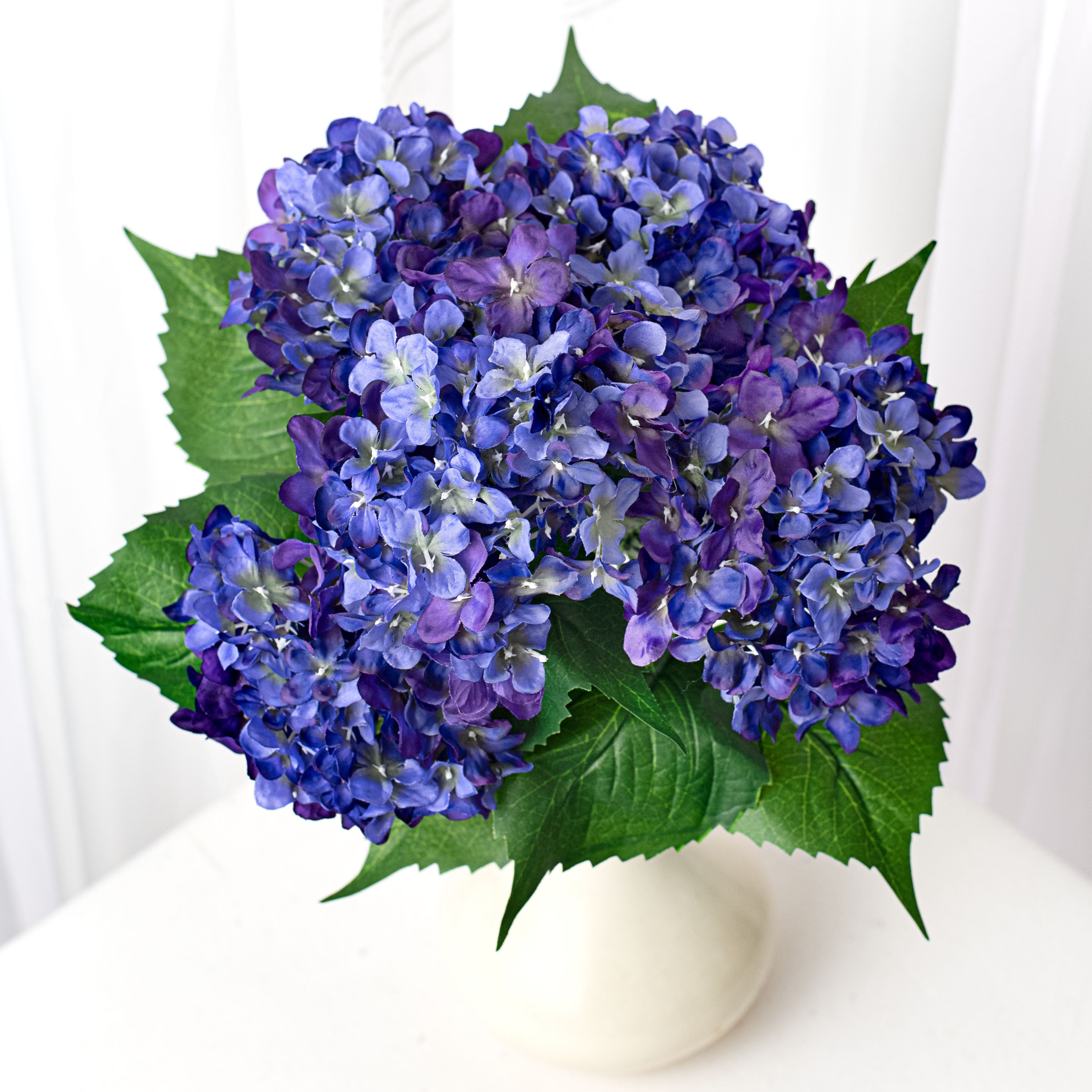 Hydrangea4936　0419 19
