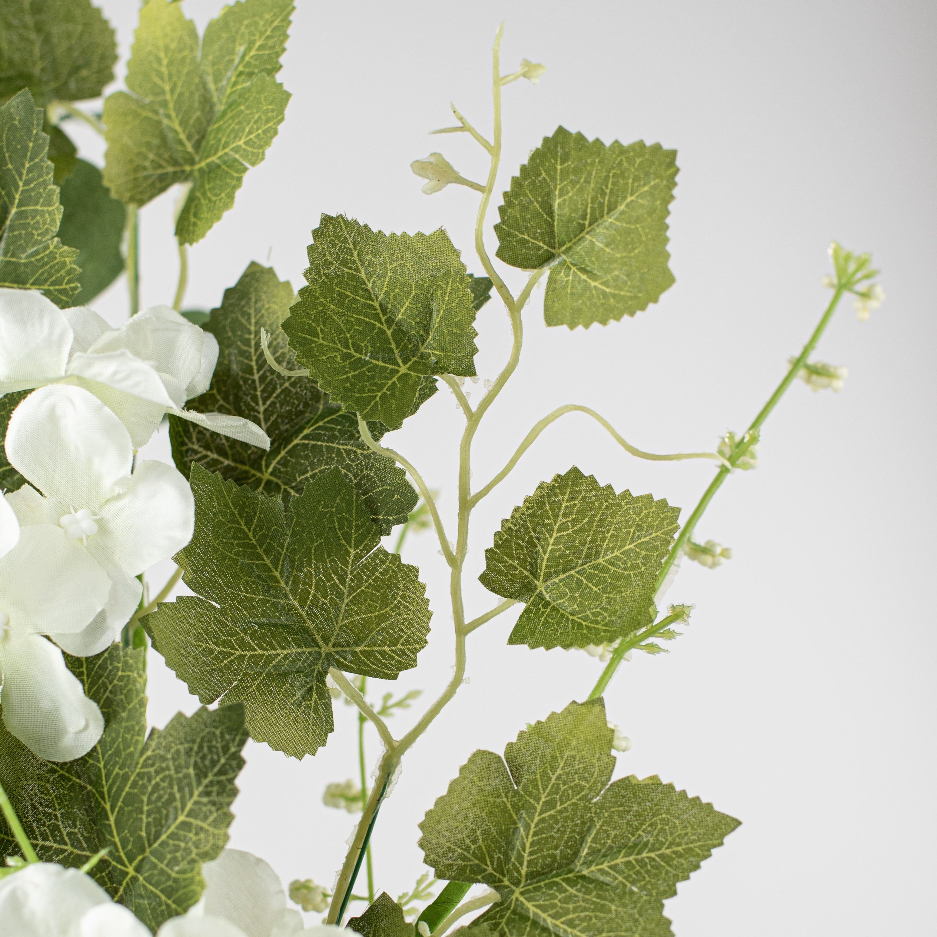 24" Hydrangea, Silver Dollar Eucalyptus, Ivy Spray: Cream detail photo 4