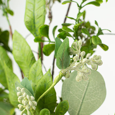 36" Eucalyptus Mix Leaves Foliage Spray