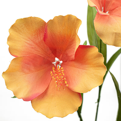 27" Hibiscus Spray: Coral