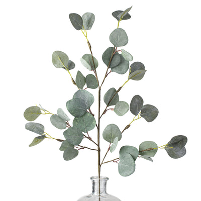 29" Silver Dollar Eucalyptus Spray