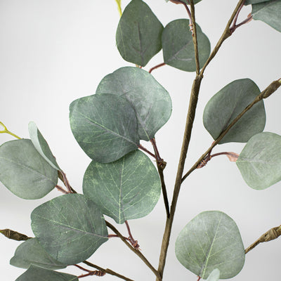 29" Silver Dollar Eucalyptus Spray