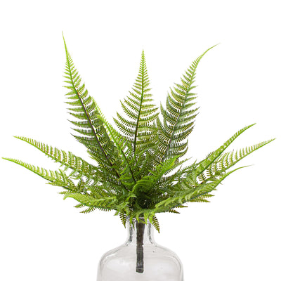14" Wild Fern Bush