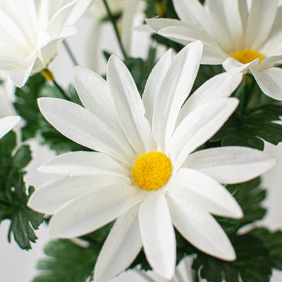 19" Daisy Bush: White (12 Stem)