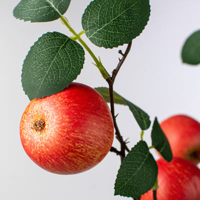 30" Apple Branch