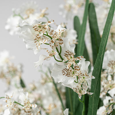 22" Dancing Orchid Bush: White