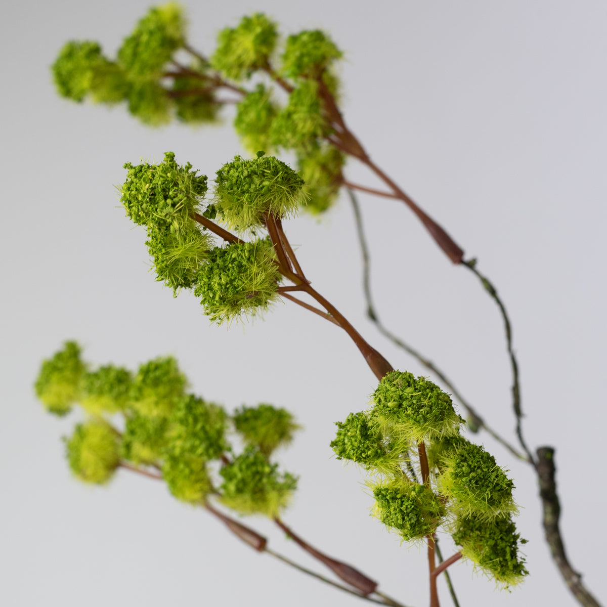23" Irish Moss Branch Spray