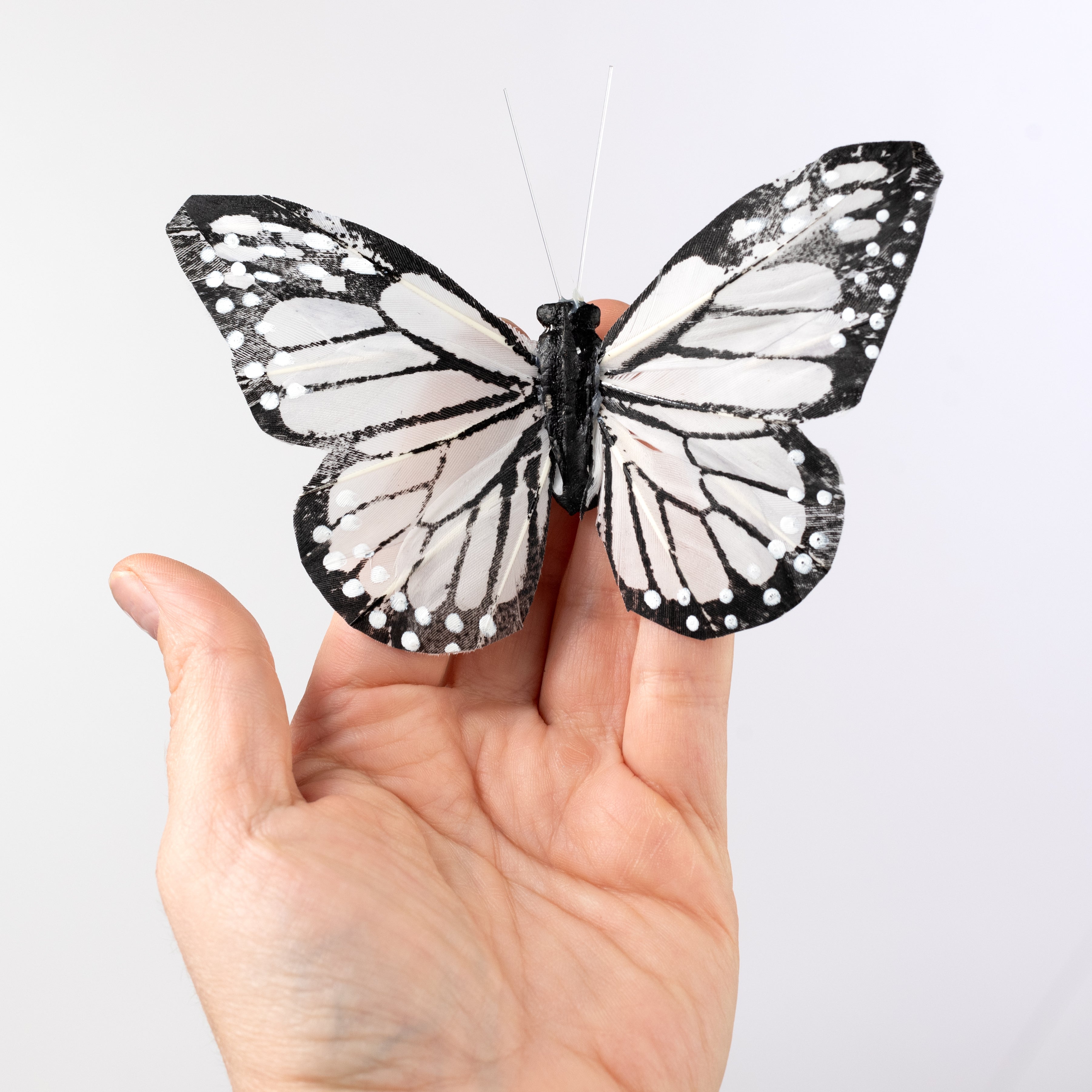 5" Feather Butterfly Picks: Black & White Monarchs (Box of 12)
