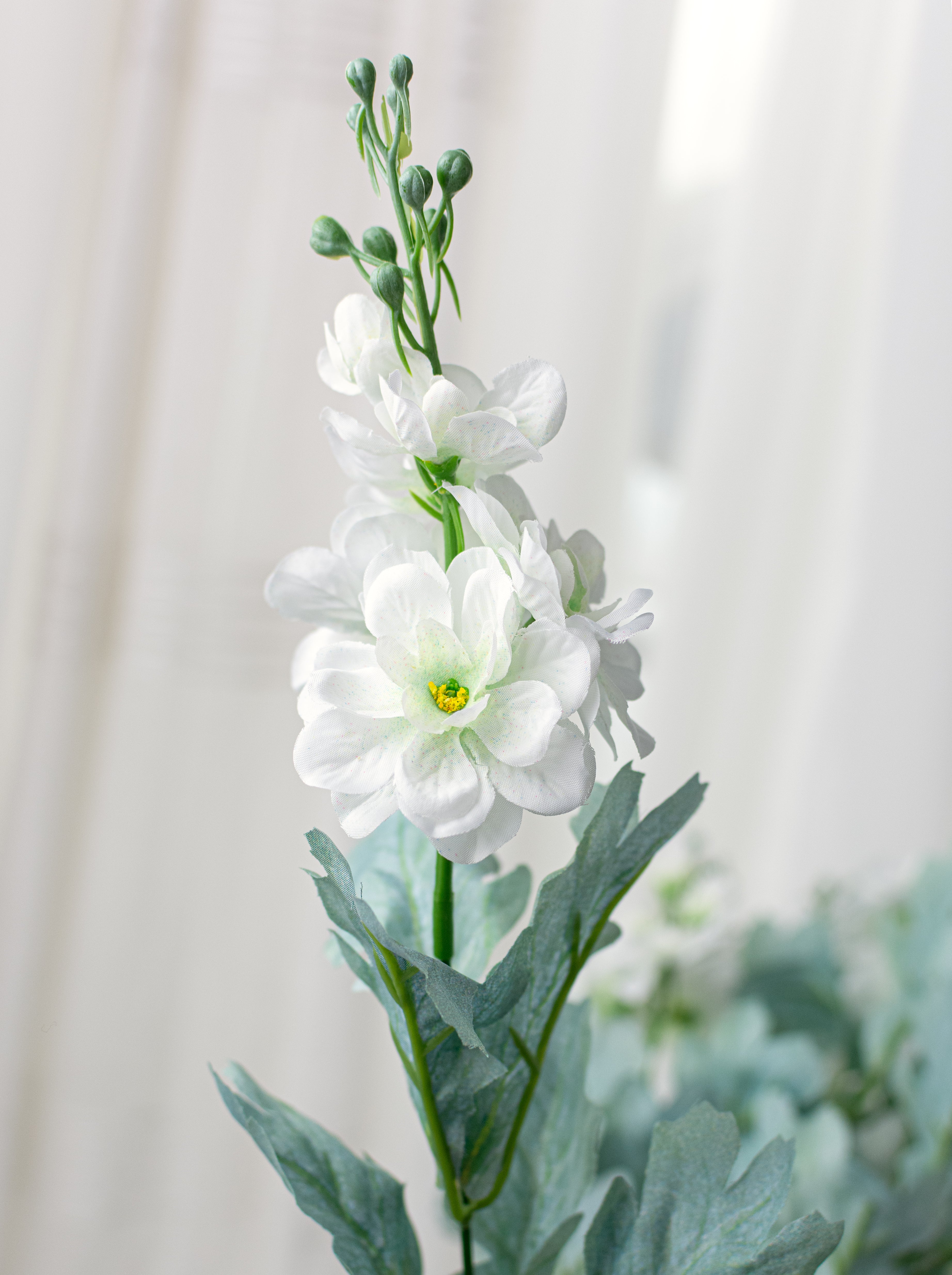 24" Delphinium Bush: Cream (12 Stem)