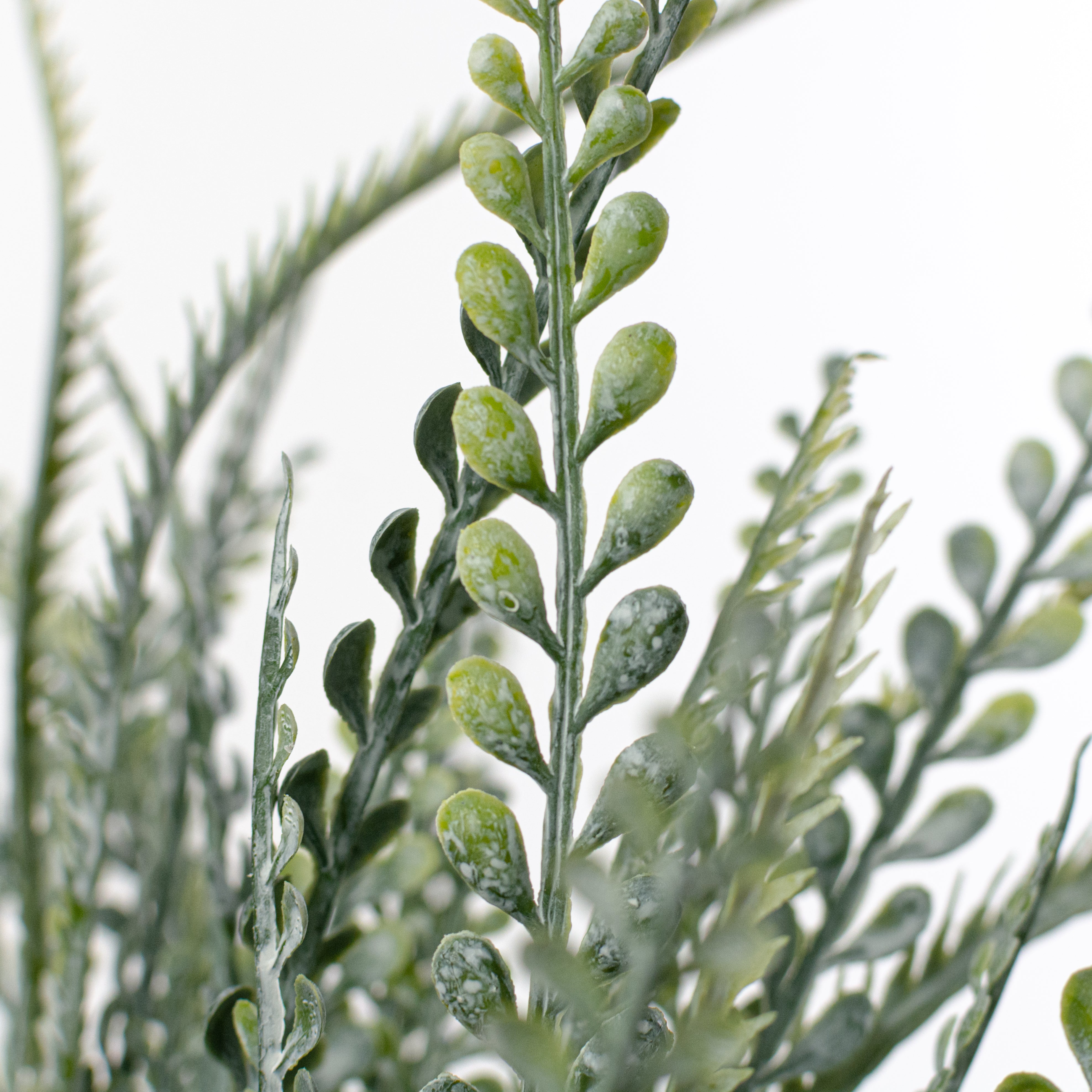 17" Button Sword Fern Bush: White Wash Green
