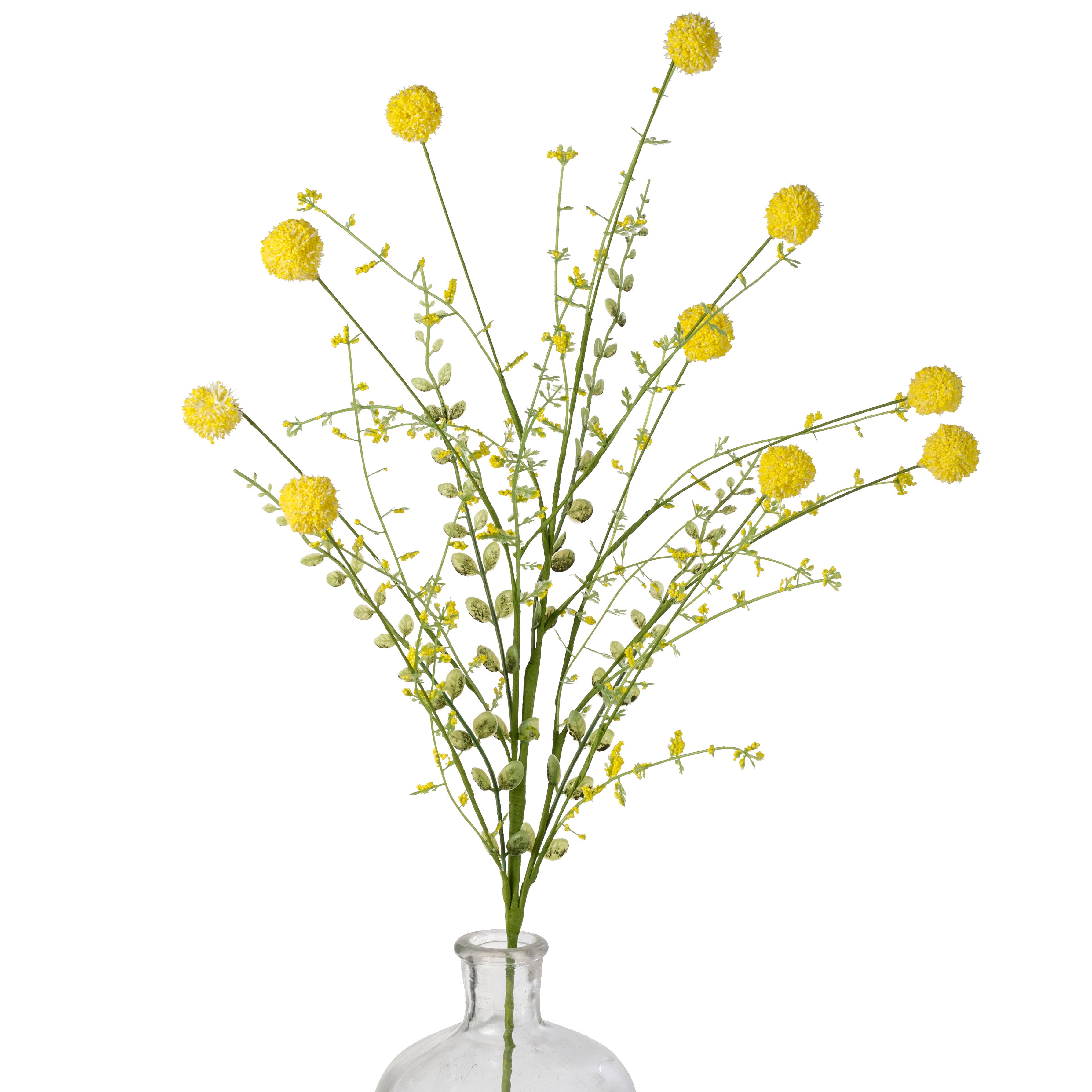 30" Snowball Allium Bush: Yellow