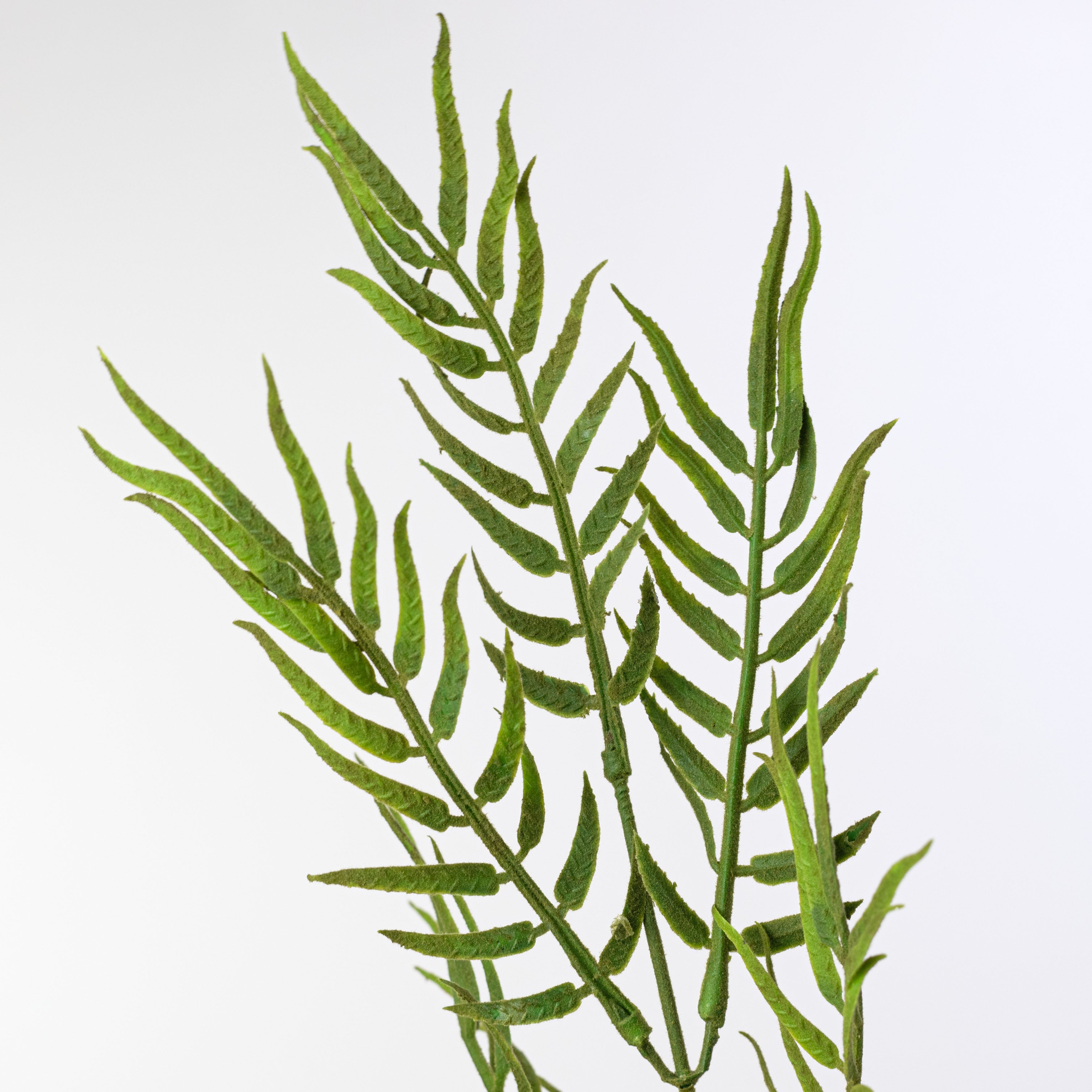 21" Flocked Plastic Fishtail Fern Bush
