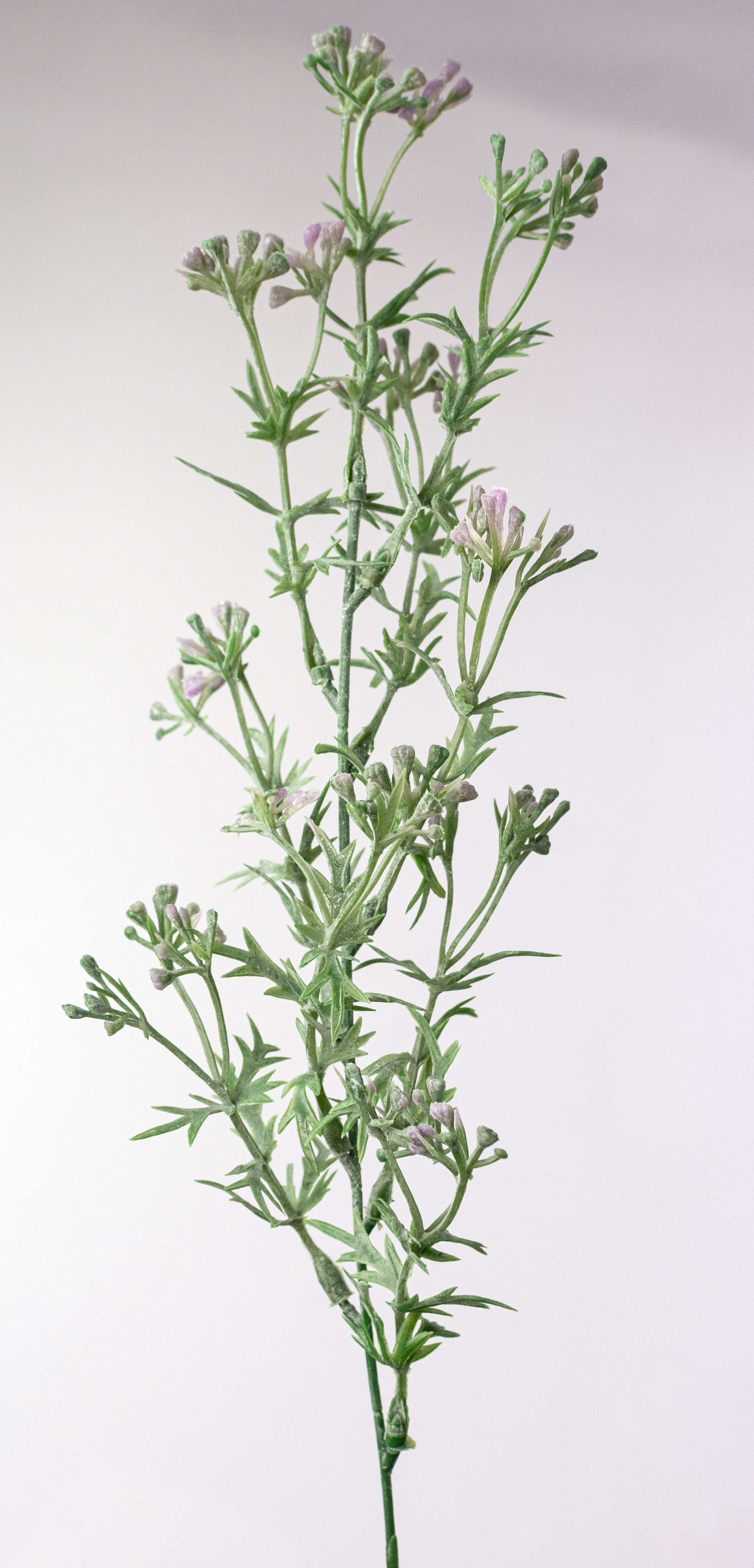 20" Wildflower Bush: Lavender Purple