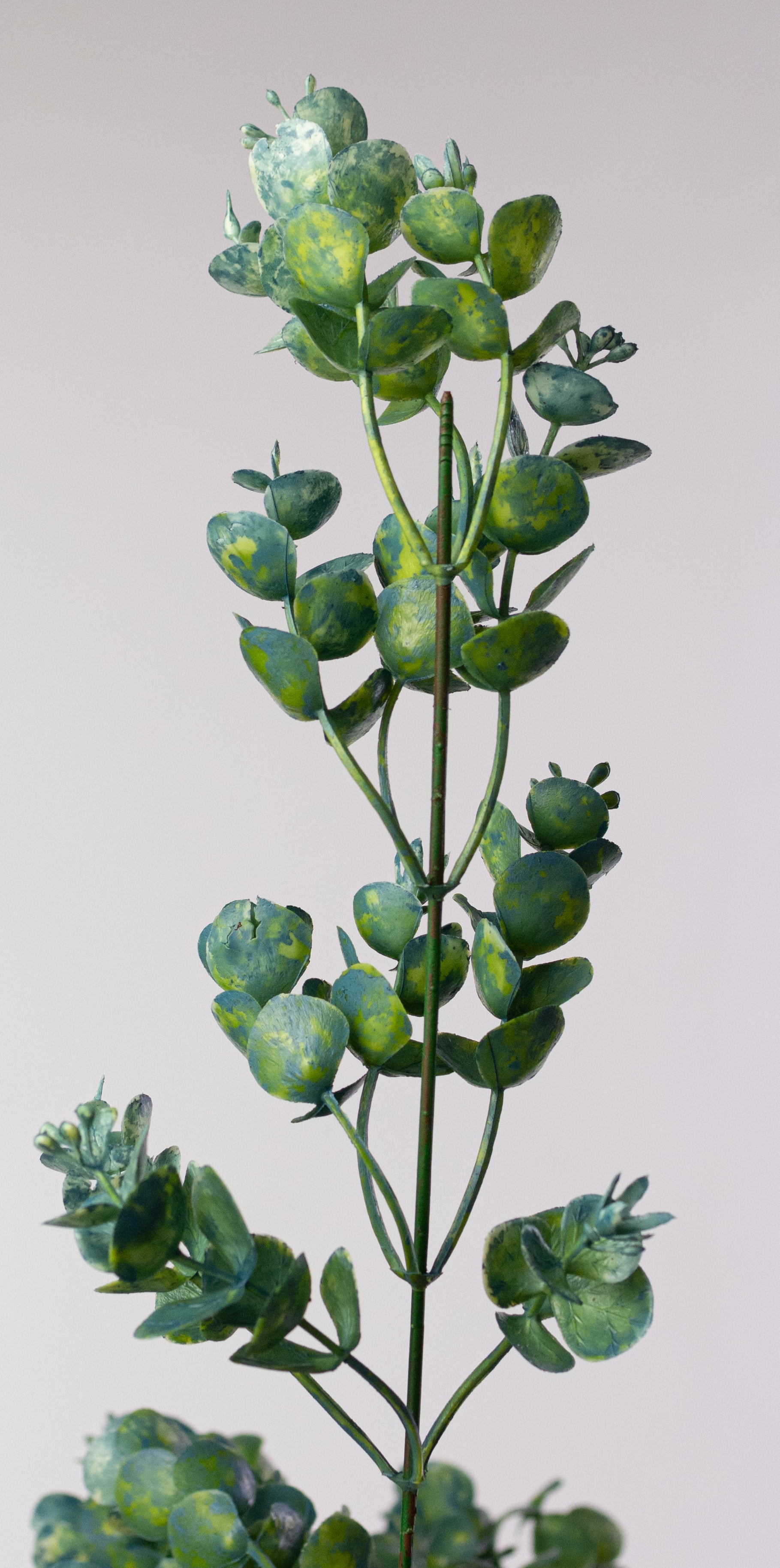 20" Plastic Eucalyptus Bush: Blue Green