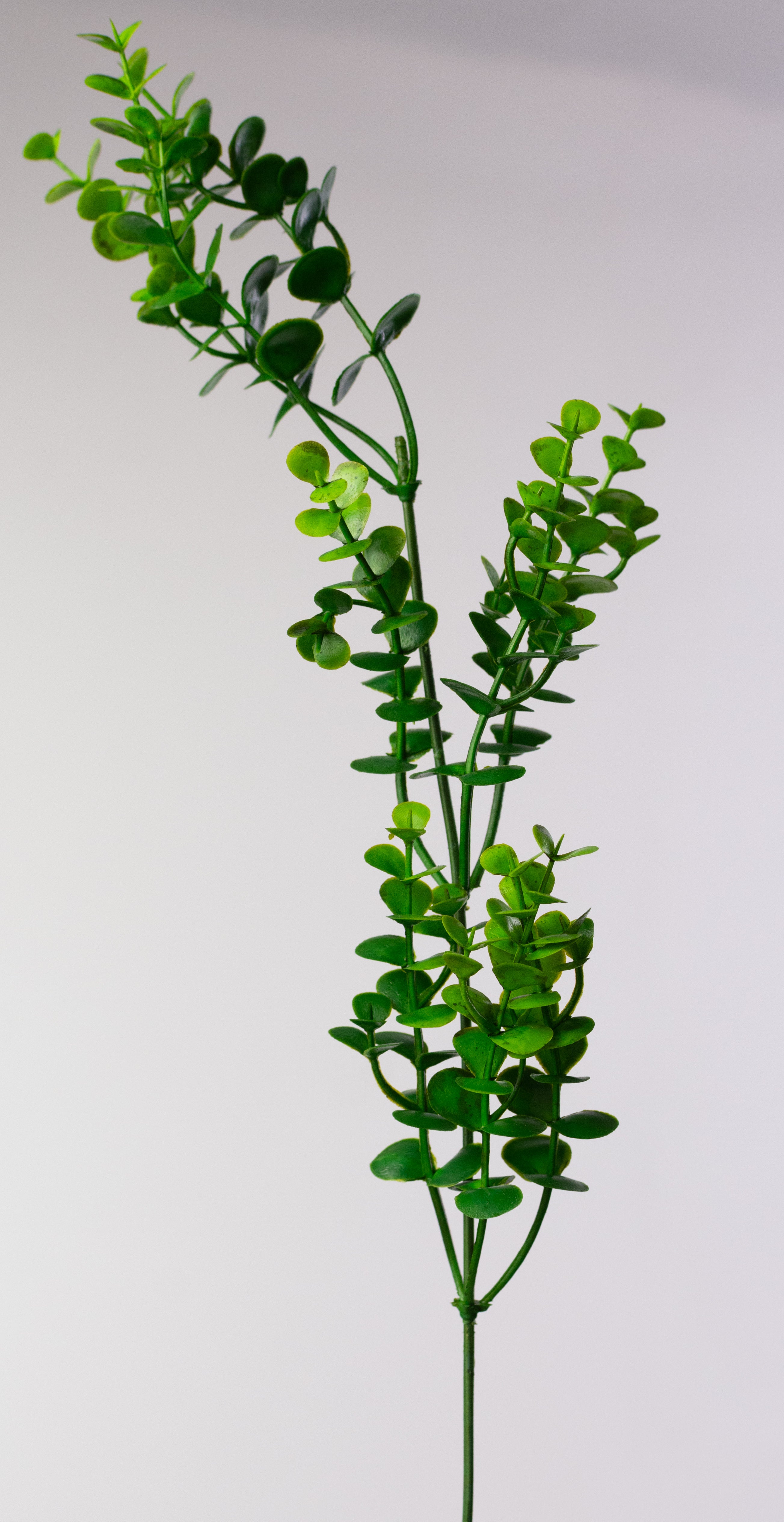 21" Plastic Eucalyptus Bush: Green