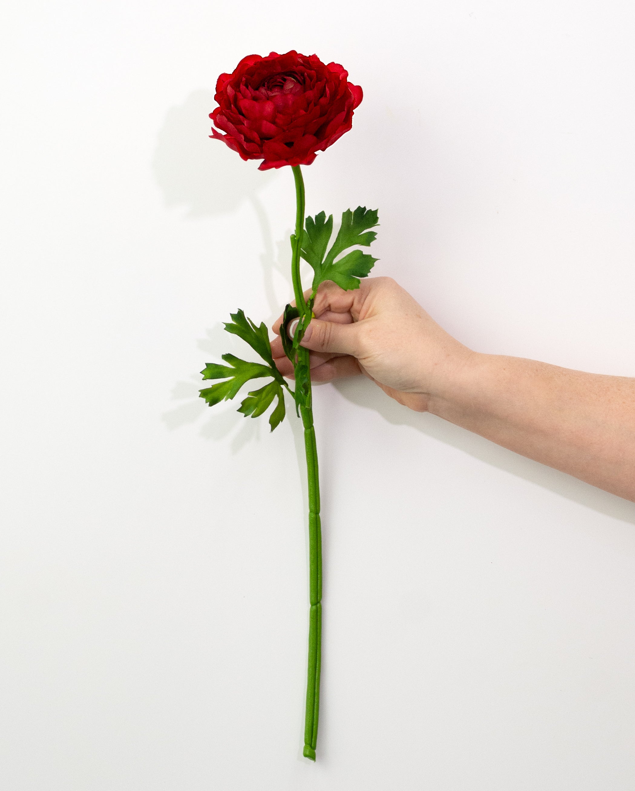 20" Ranunculus Stem: Red