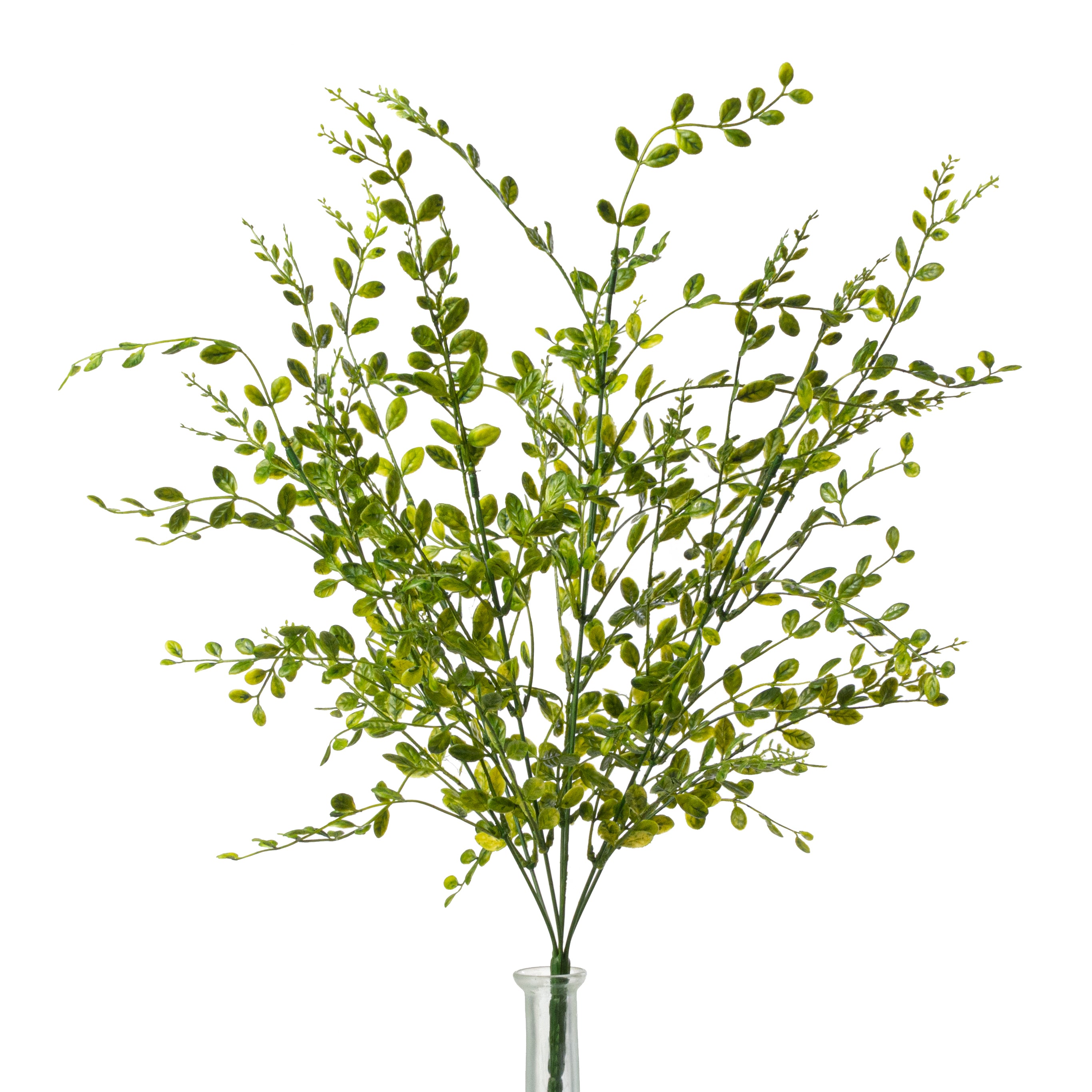 22" Plastic Boxwood Bush: Green