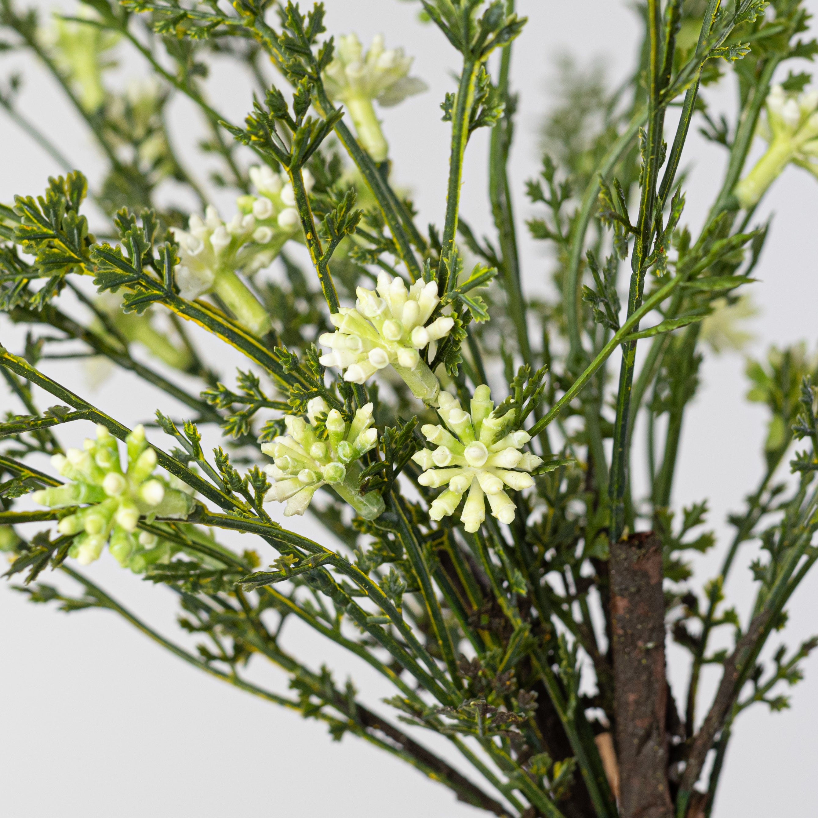 20'' Kalanchoe Blooms Bundle: White (3)