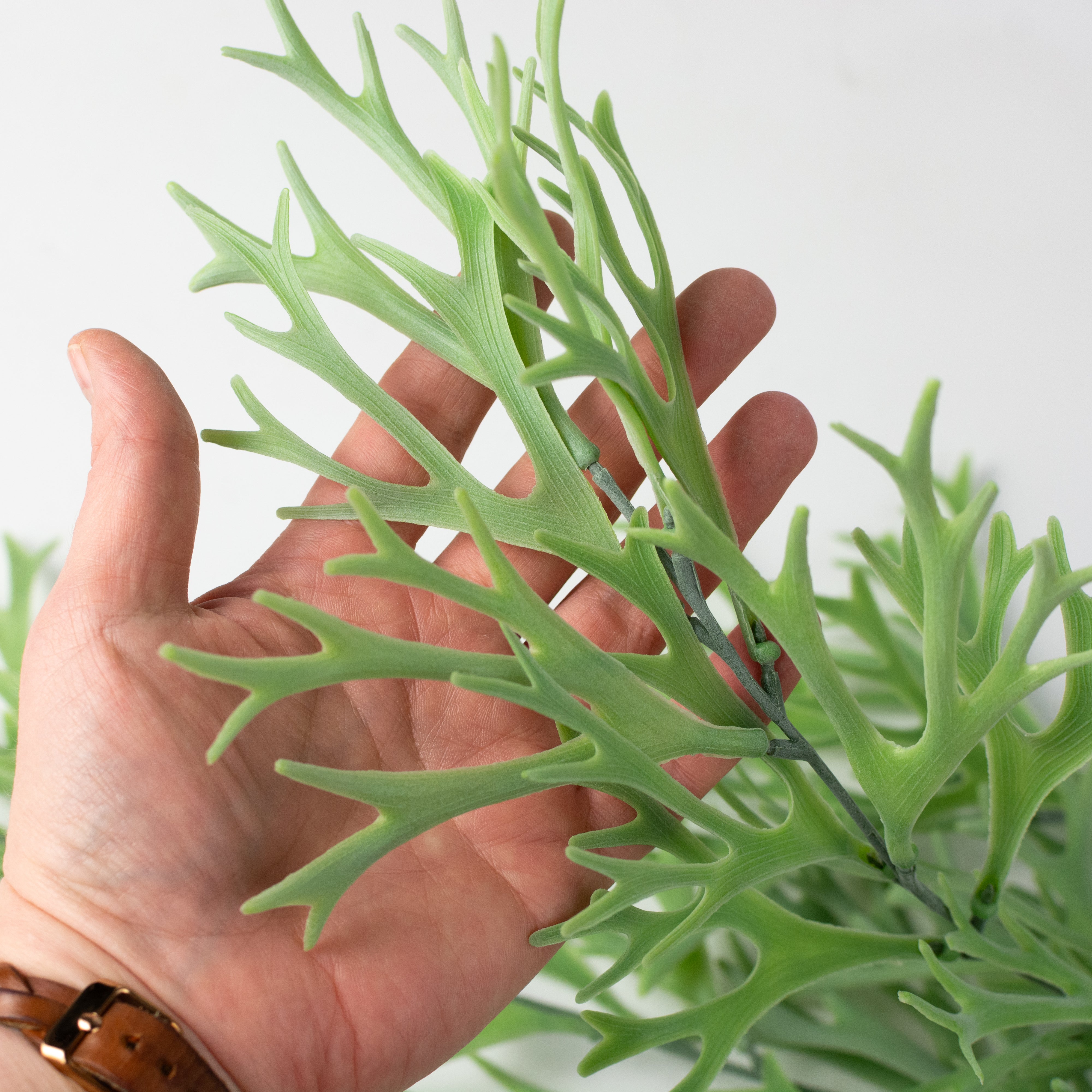 31" Staghorn Fern Vine Hanging Branch