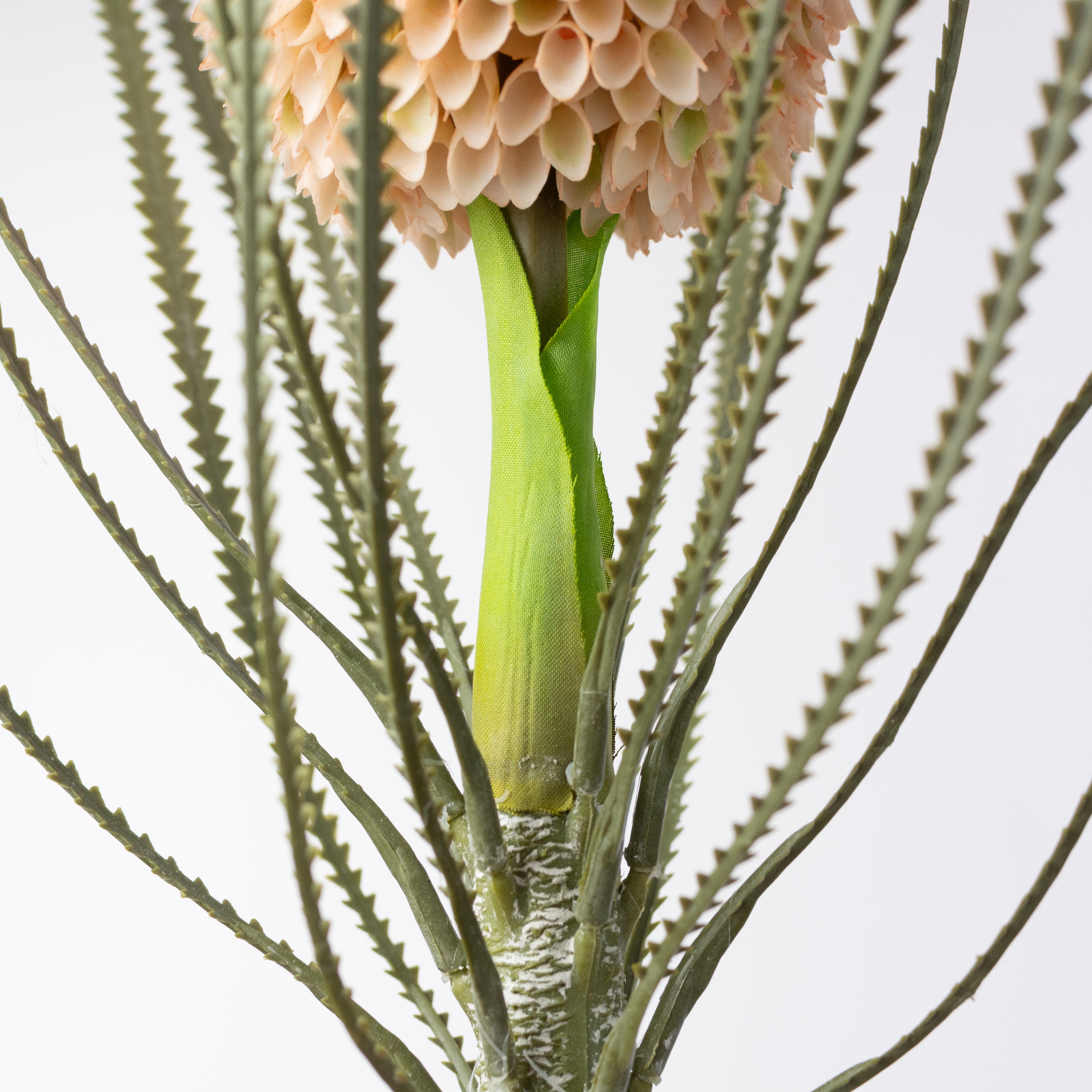 29" Banksia Protea Stem: Cream Peach