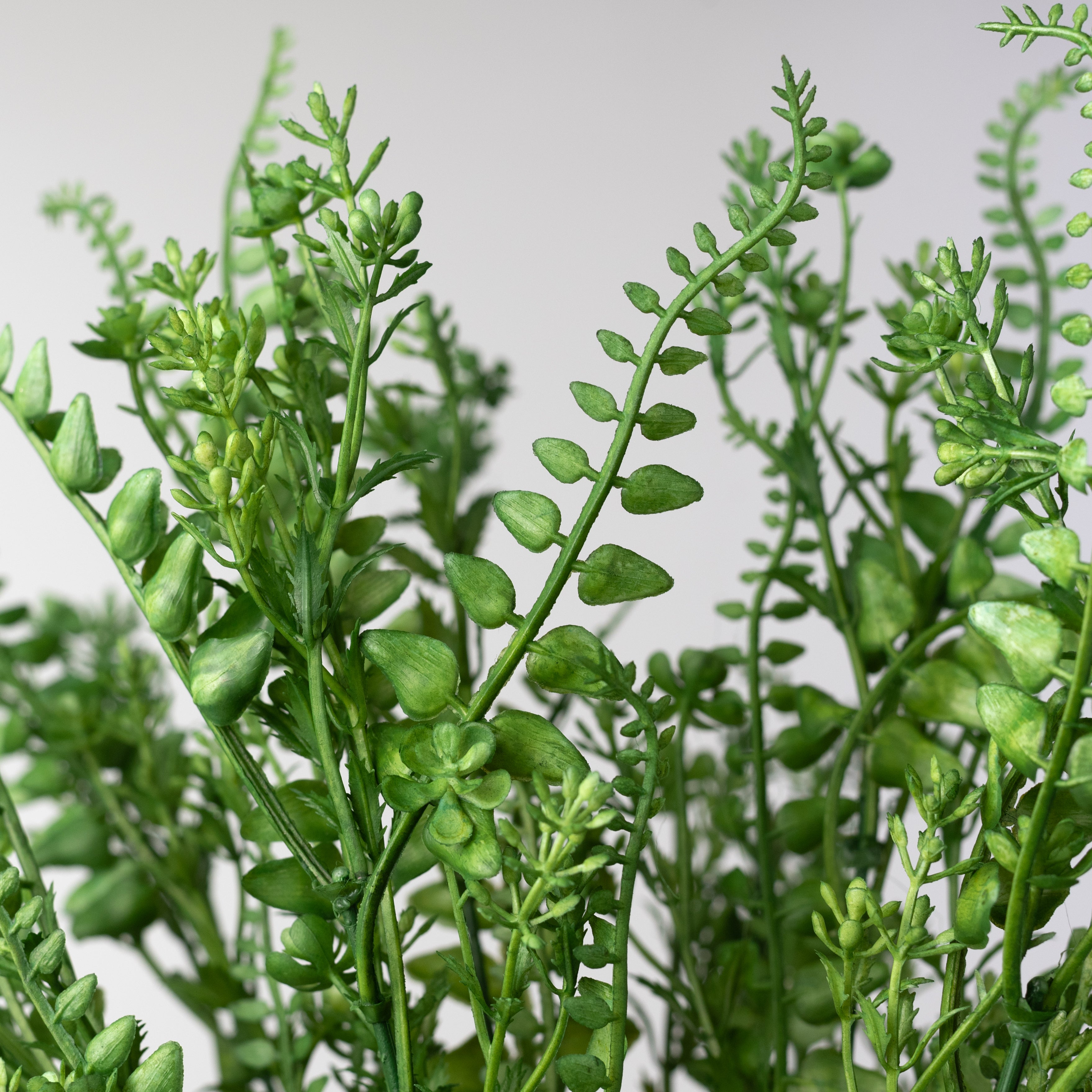 18" Mixed Plastic Button Fern Leaves Bush: Green (7 Stem)