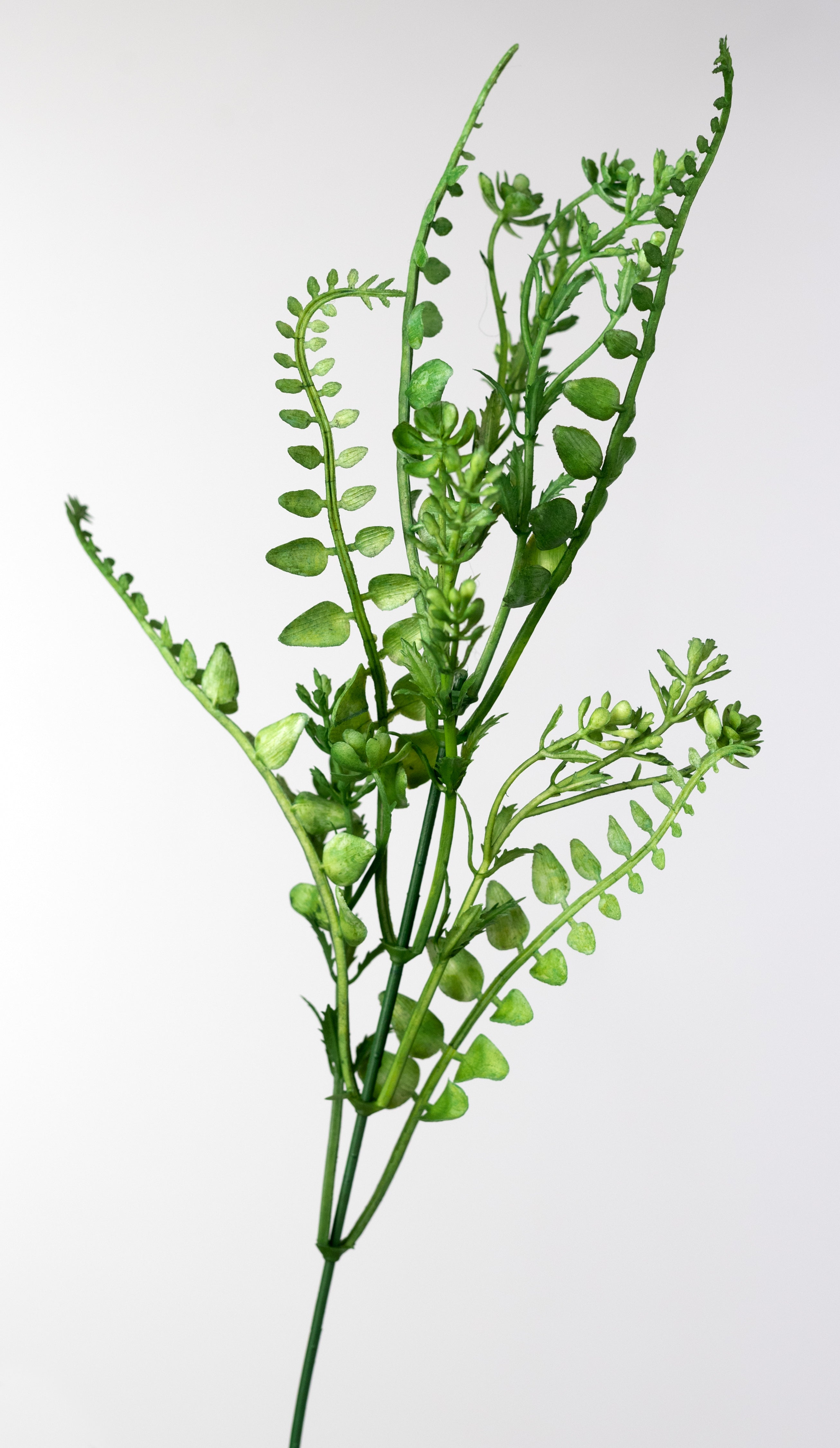 18" Mixed Plastic Button Fern Leaves Bush: Green (7 Stem)