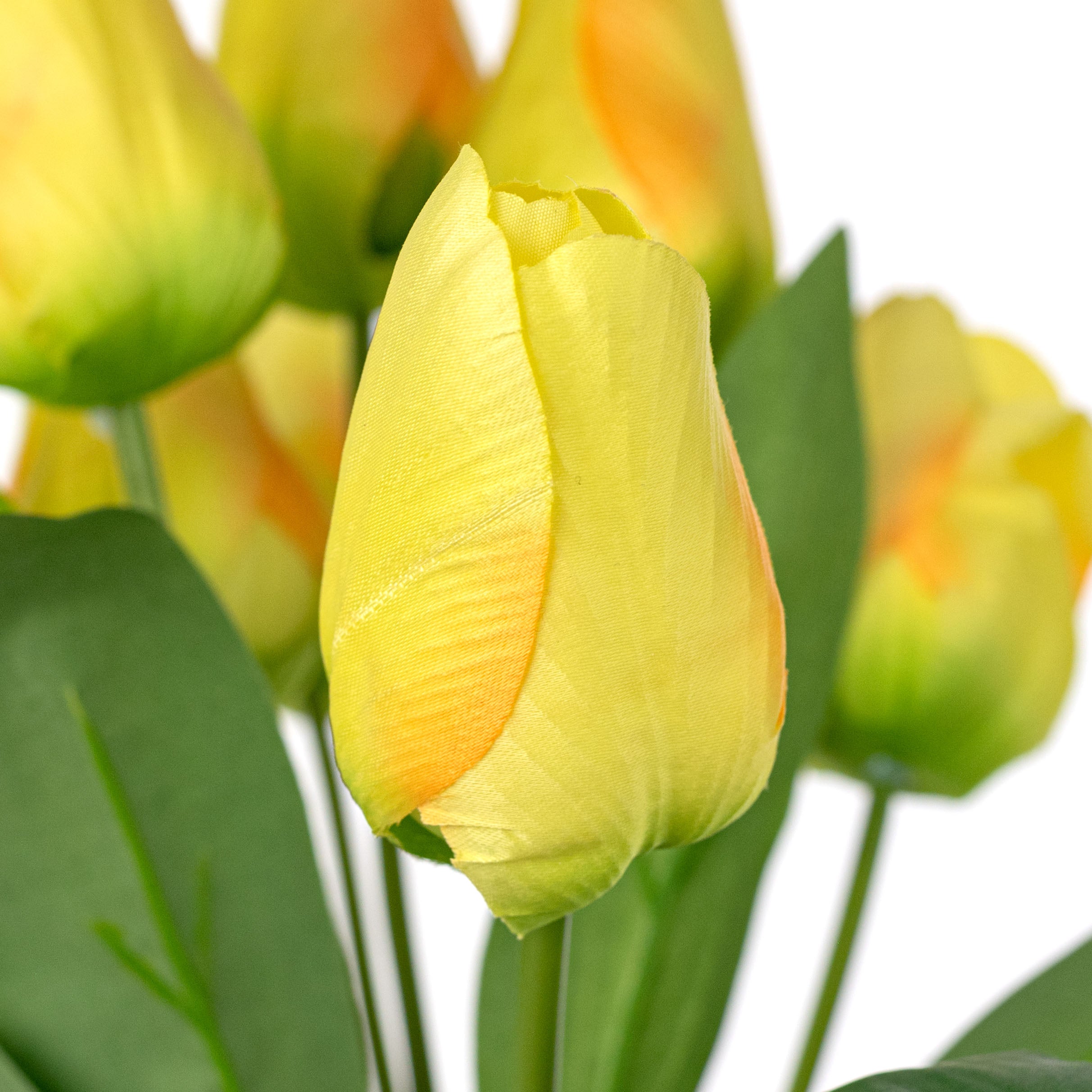 18" Tulip Bush: Yellow (9 Stem)
