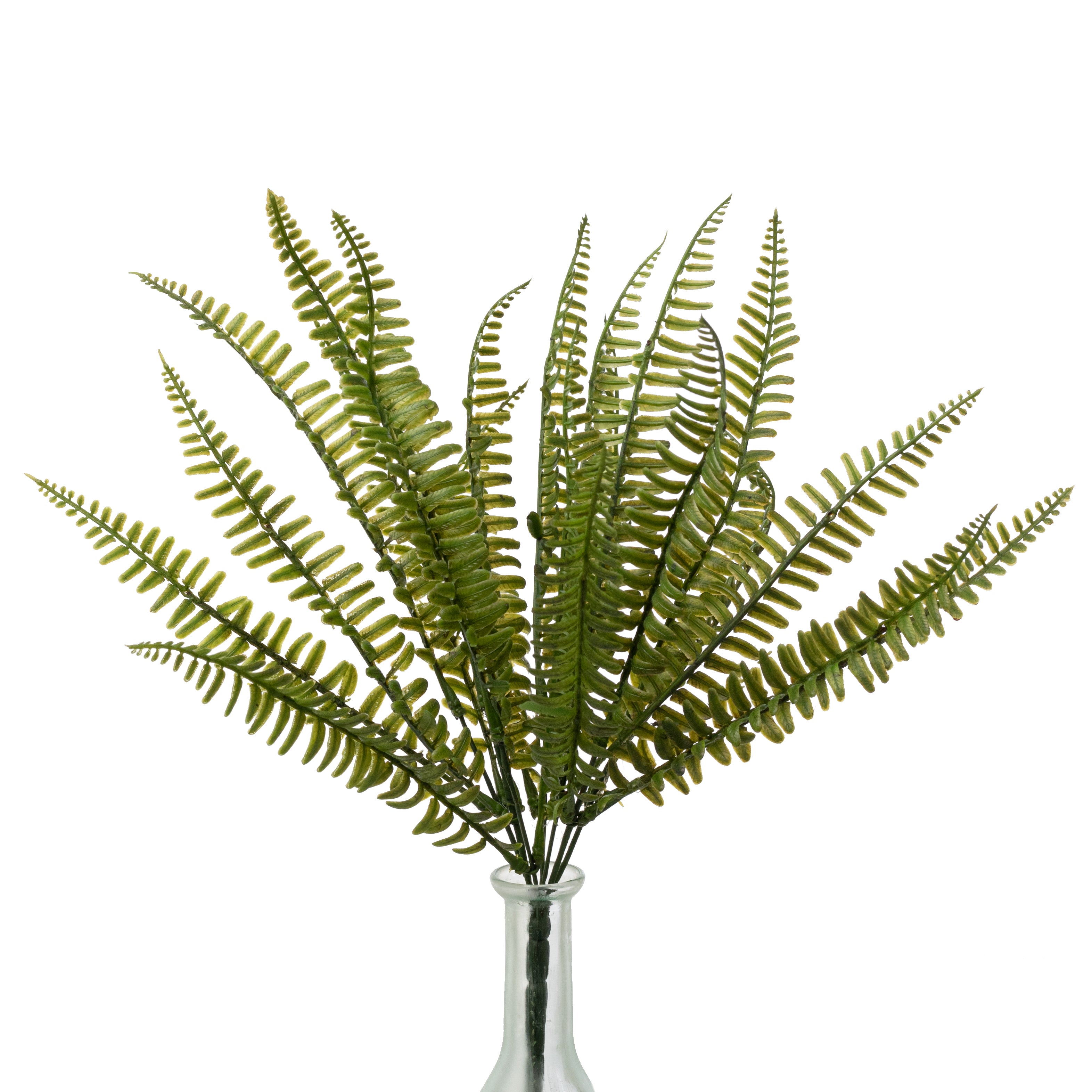 17" Plastic Fern Fronds Bush (7 Stem)