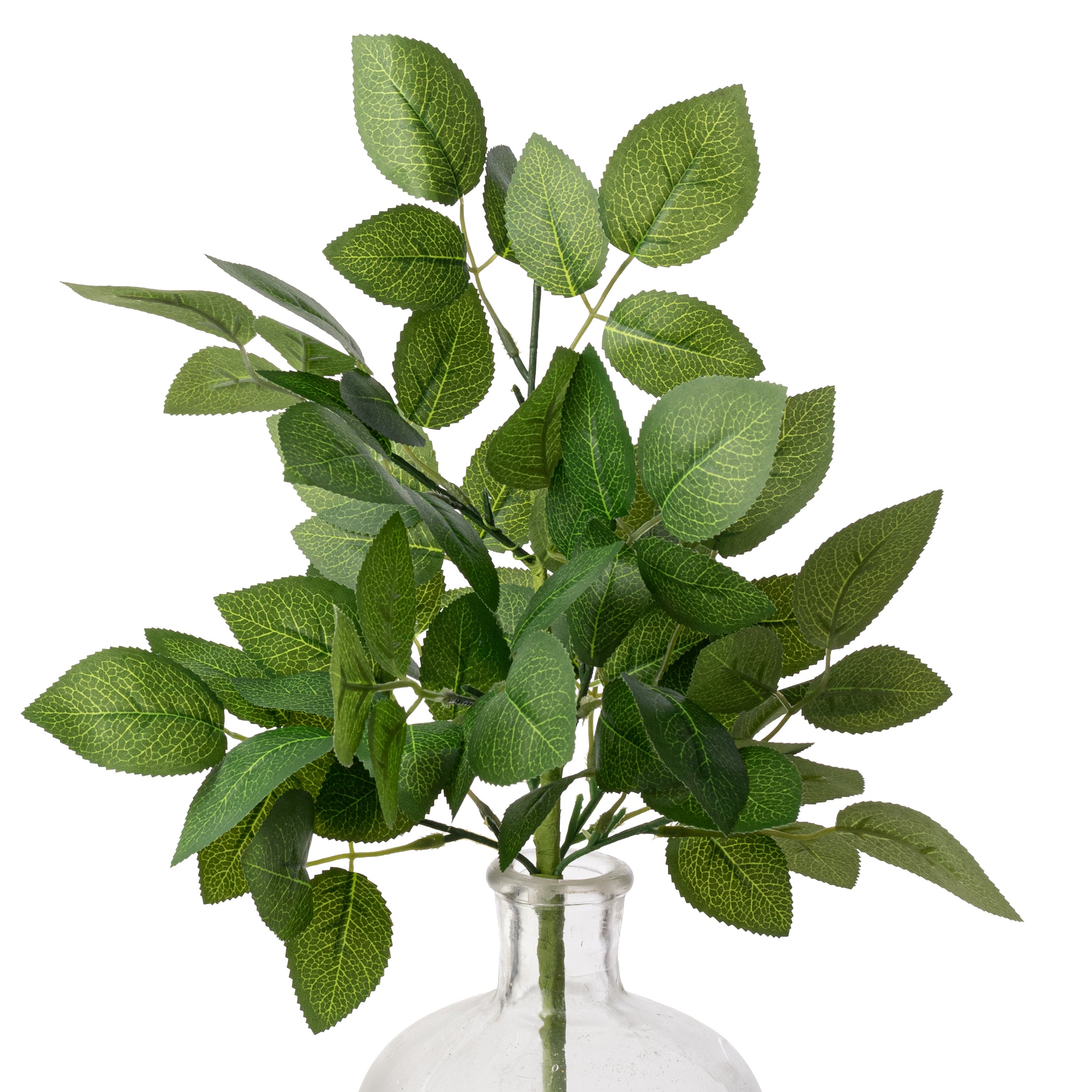 18" Wild Rose Leaves Bush: Full
