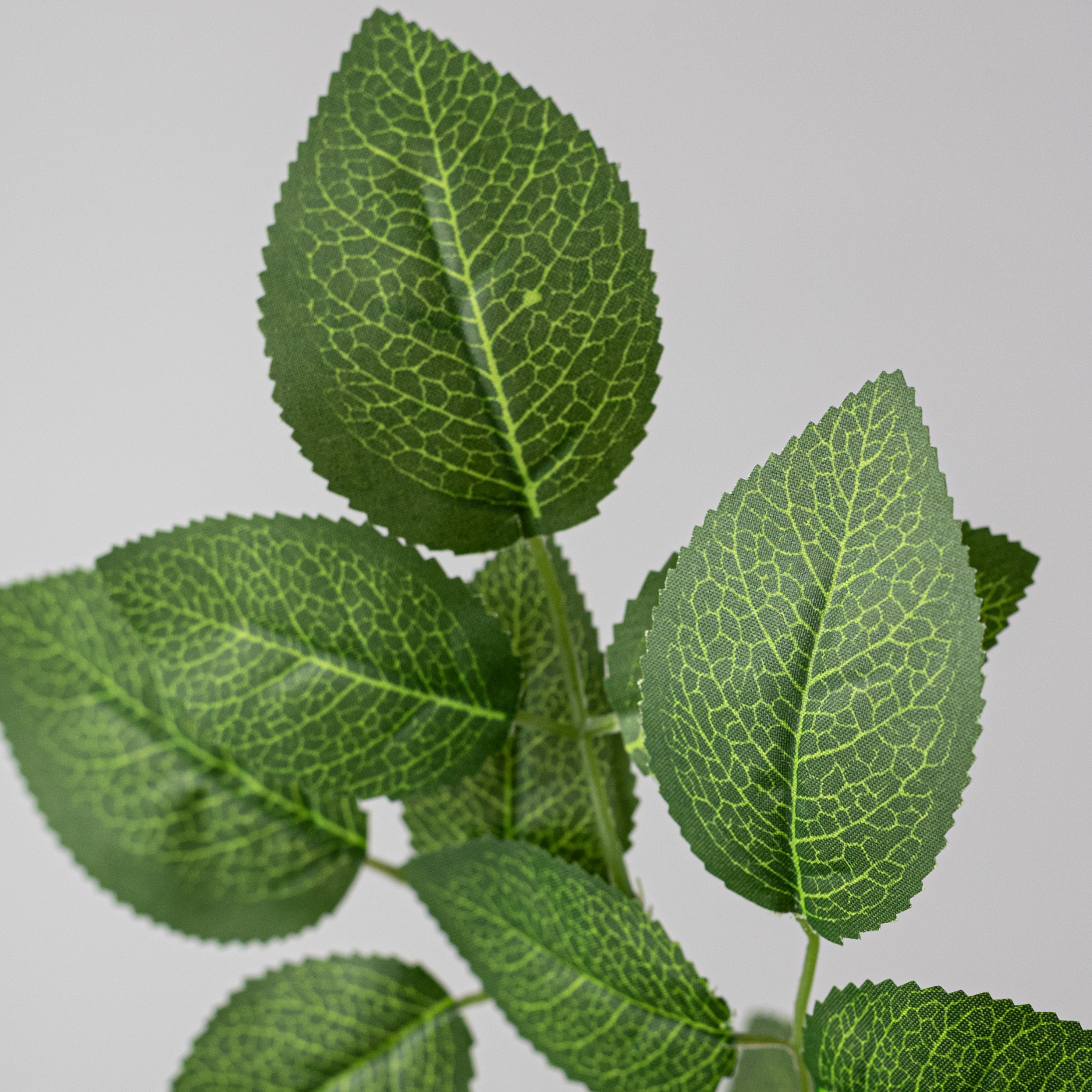 18" Wild Rose Leaves Bush: Full