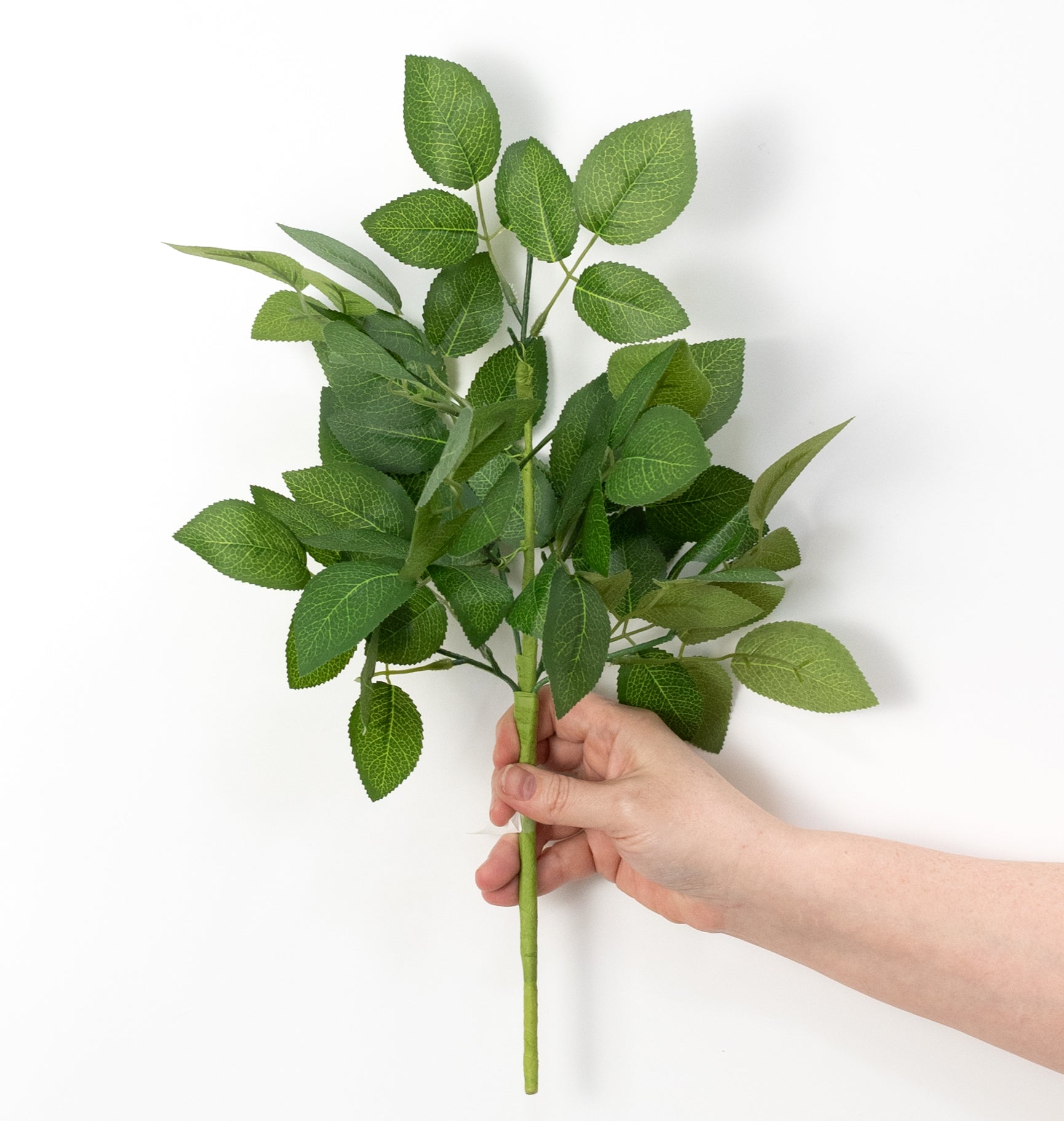 18" Wild Rose Leaves Bush: Full