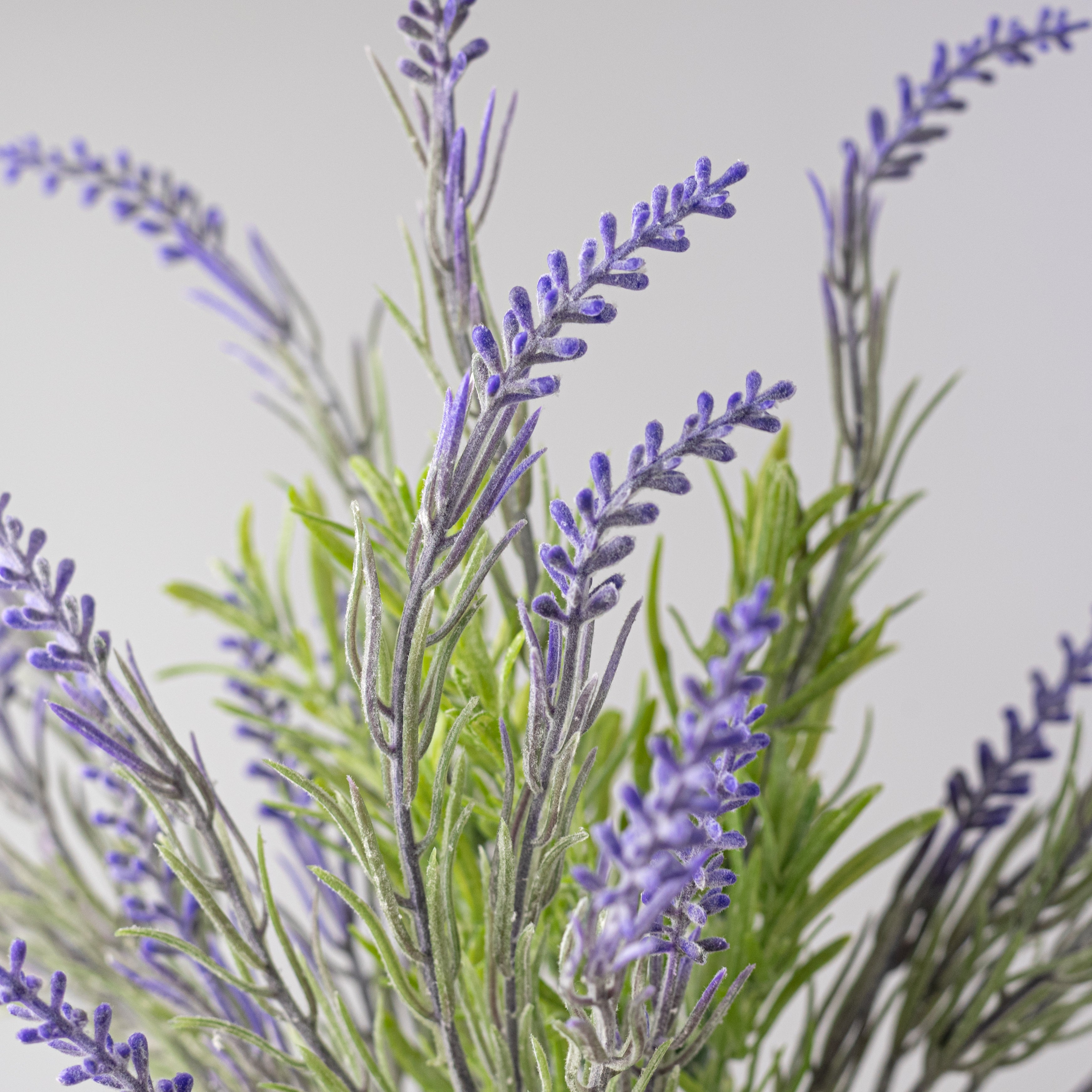 15" Flocked French Lavender Bush
