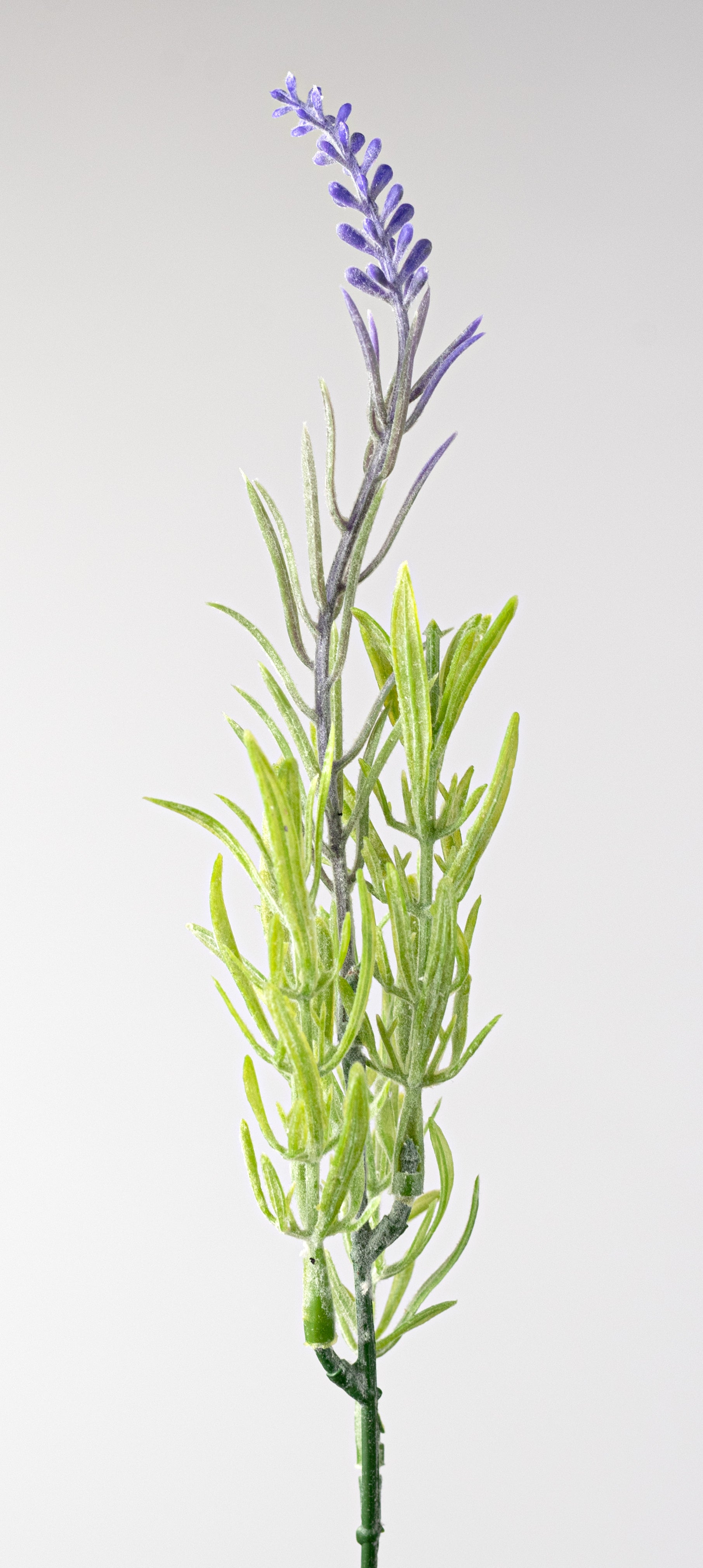 15" Flocked French Lavender Bush