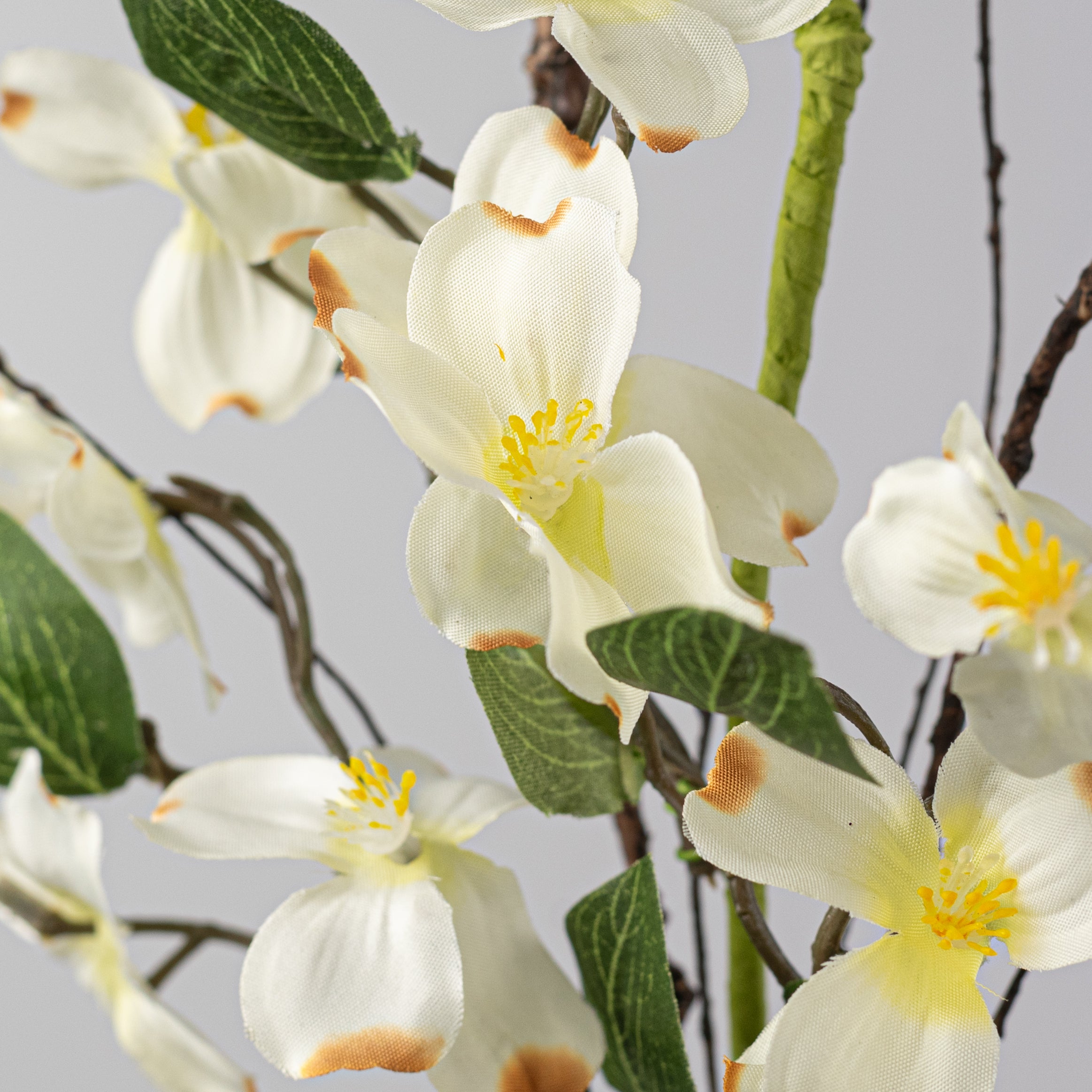 16" Dogwood Flowers & Twigs Pick: Cream