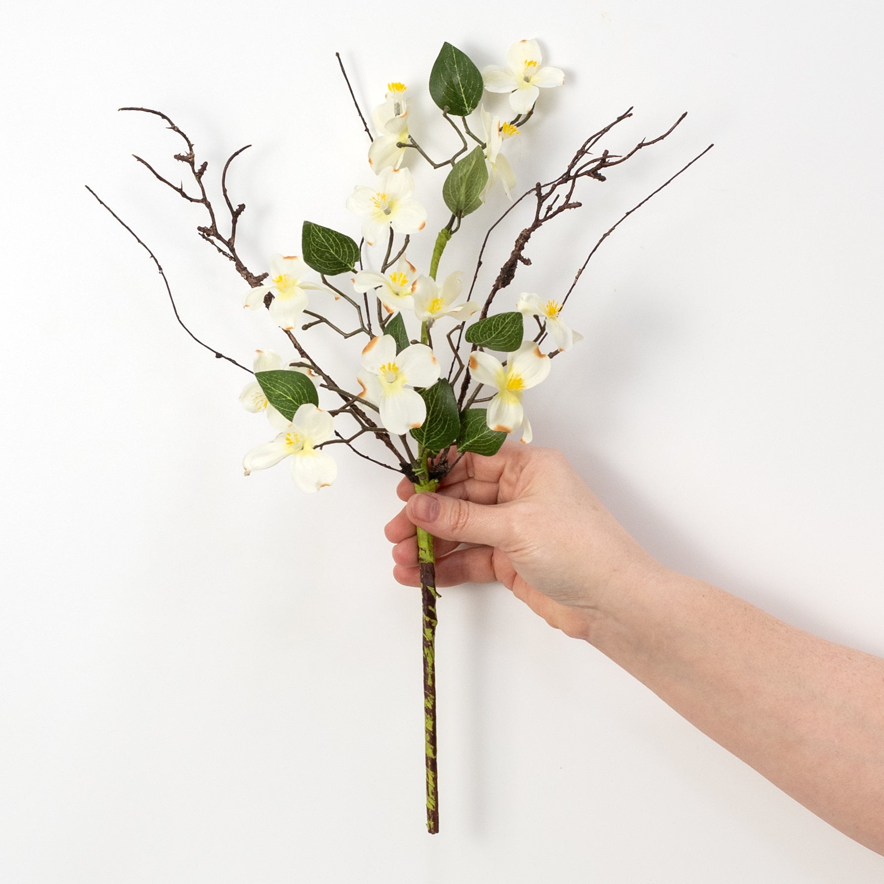 16" Dogwood Flowers & Twigs Pick: Cream