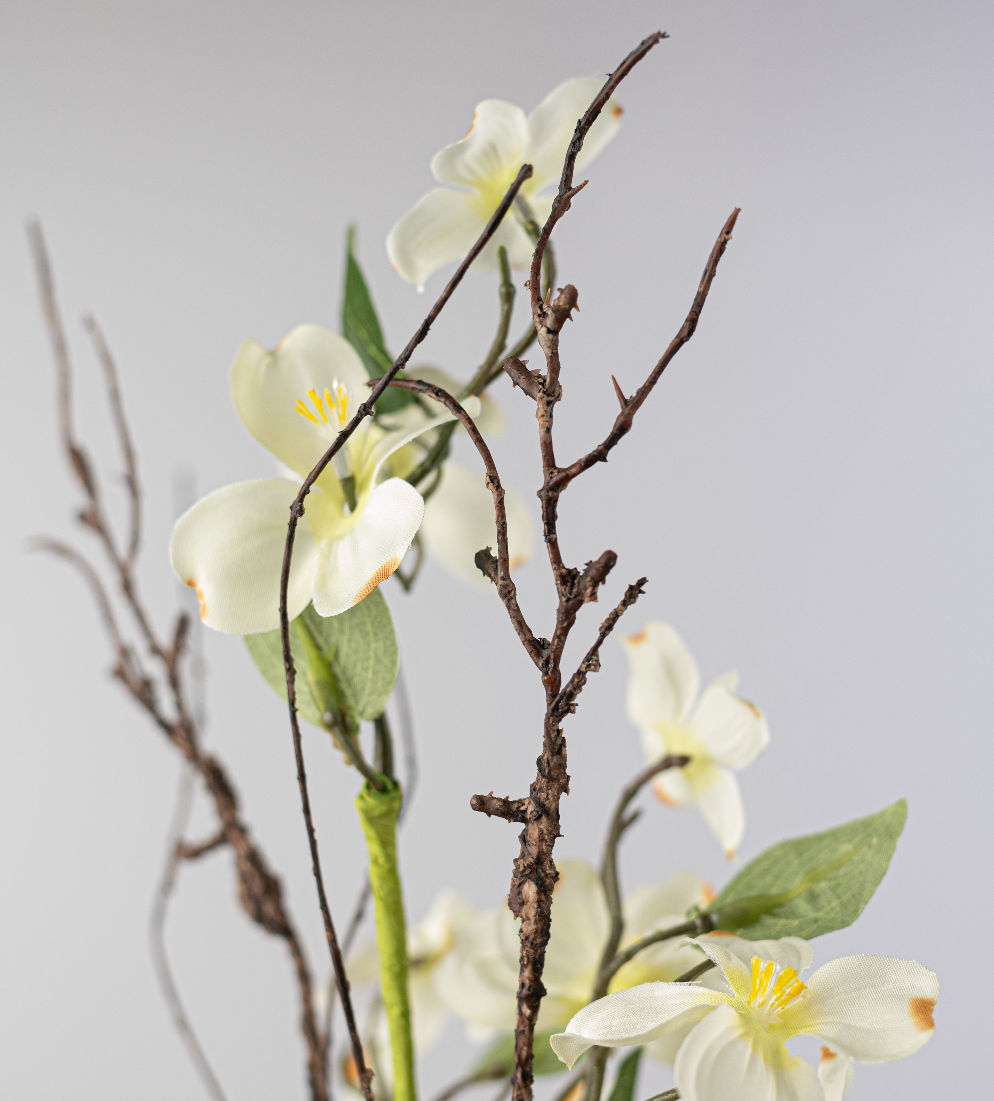 16" Dogwood Flowers & Twigs Pick: Cream