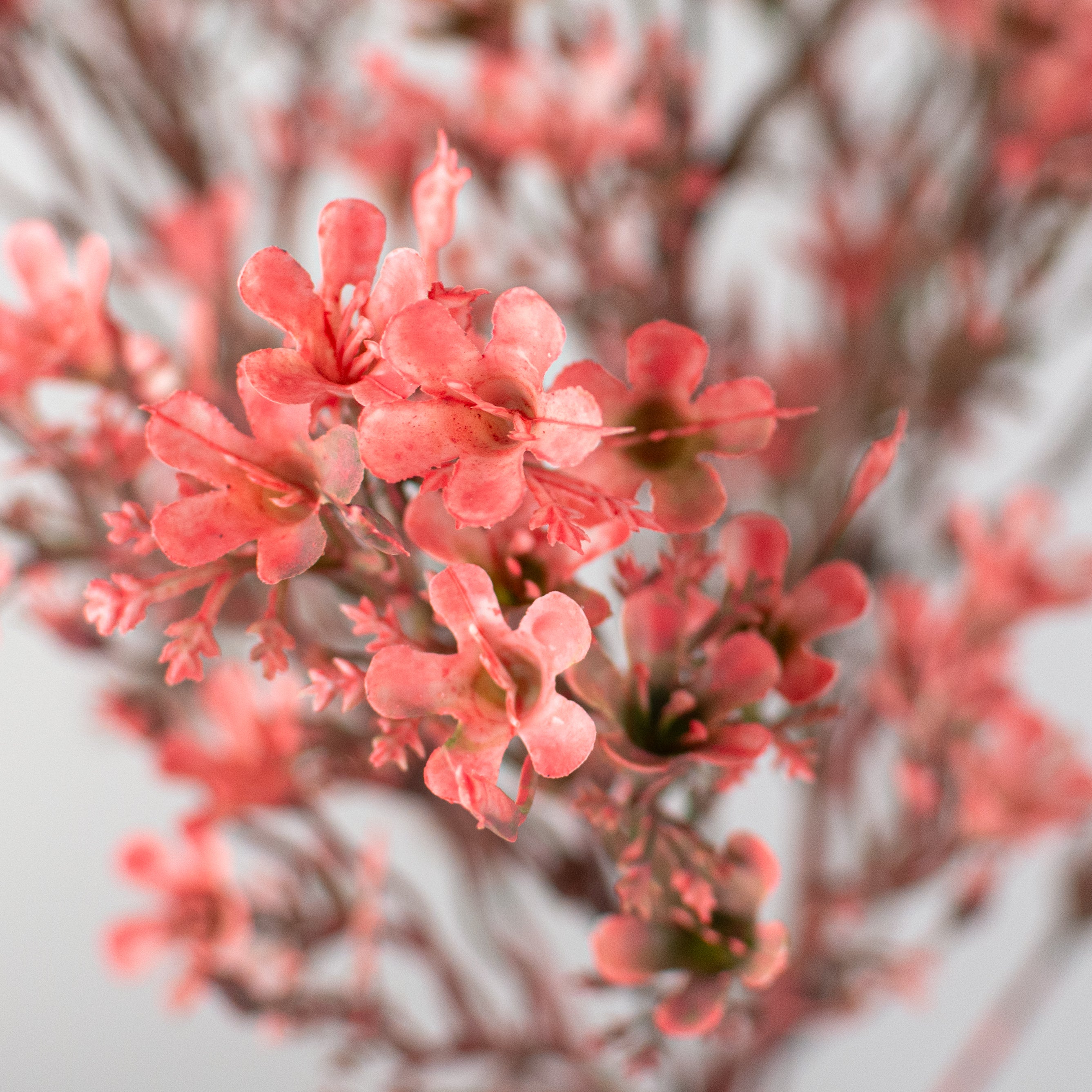 14" Plastic Wax Flower Bush: Pink