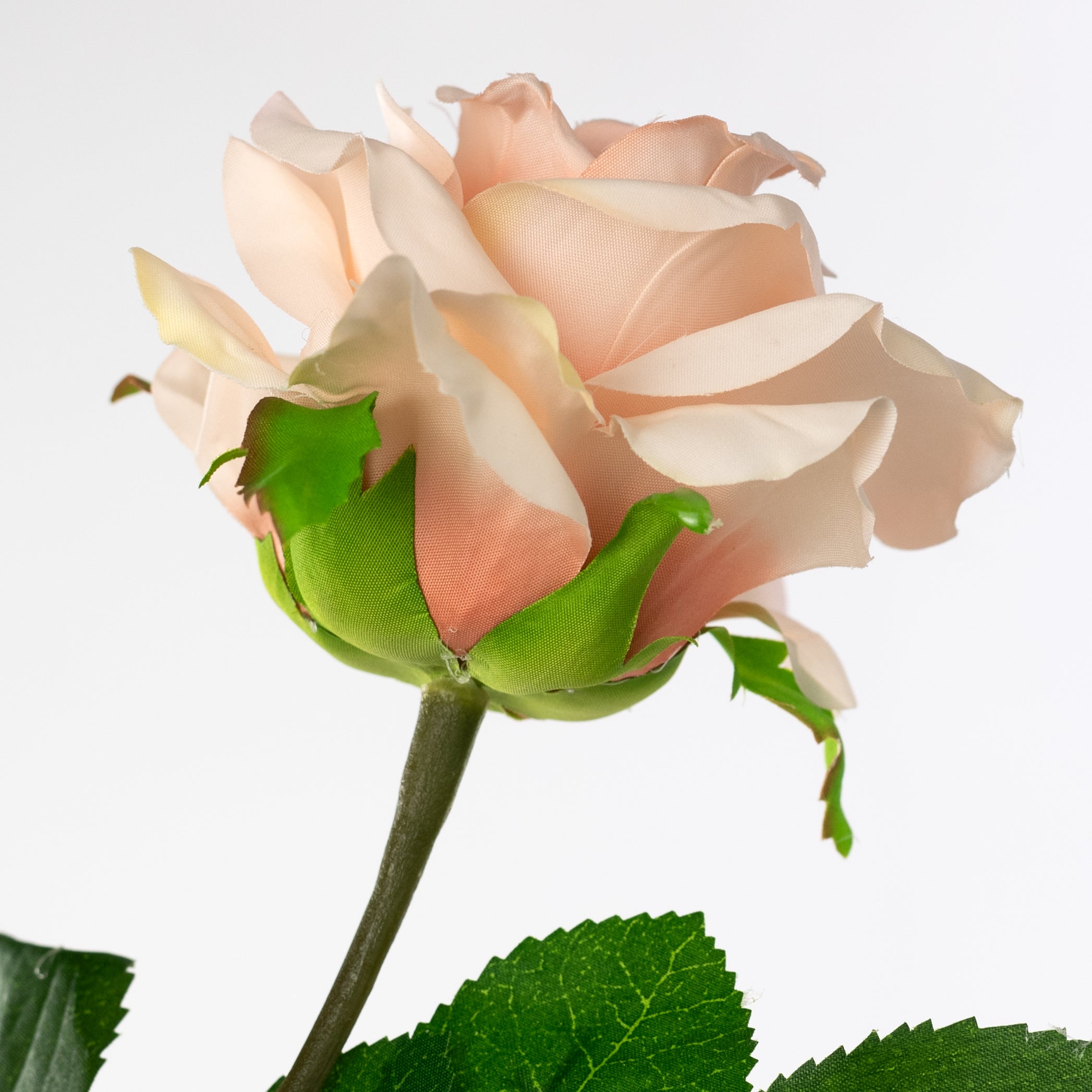 30" Roses Bud, Blooms & Leaves Spray: Blush Pink