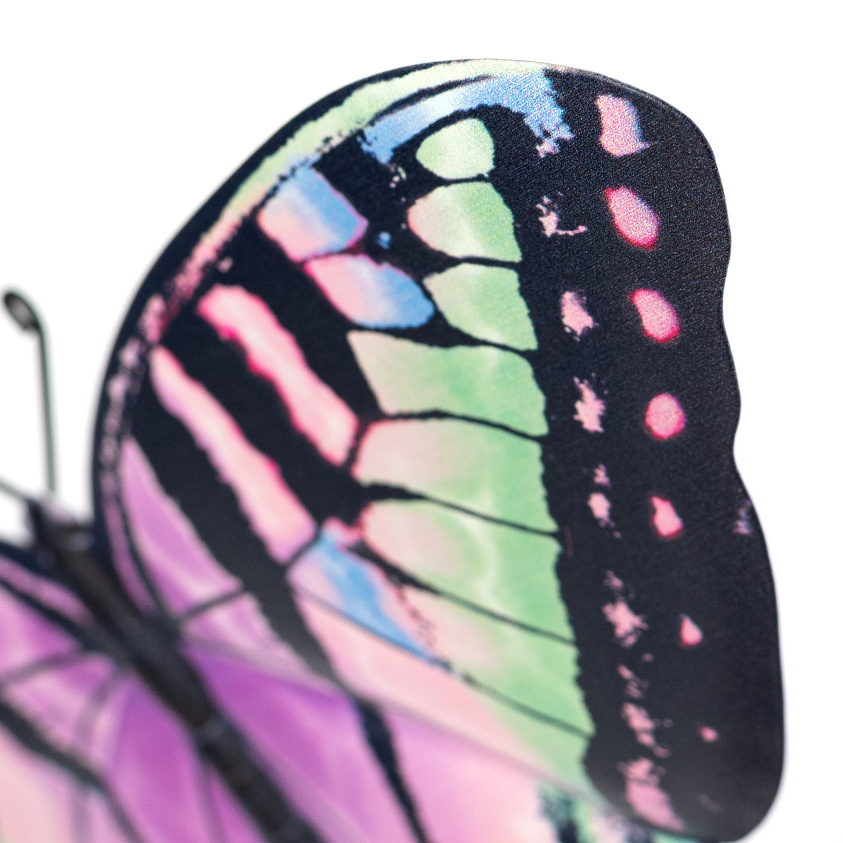 13" Metal Embossed Swallowtail Butterfly Sign: Pastel