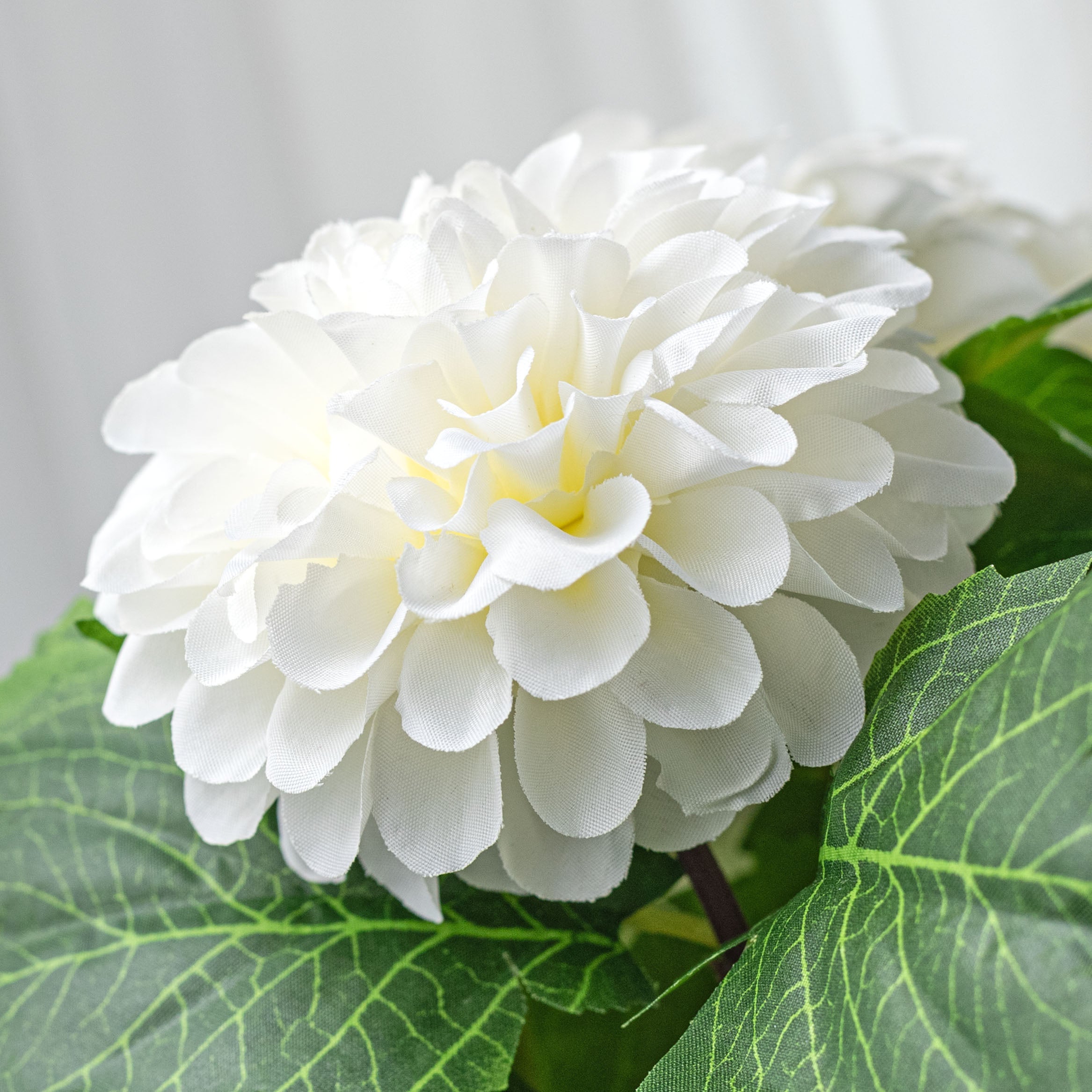 19" Dahlia Bush: Cream White (9 Stem)